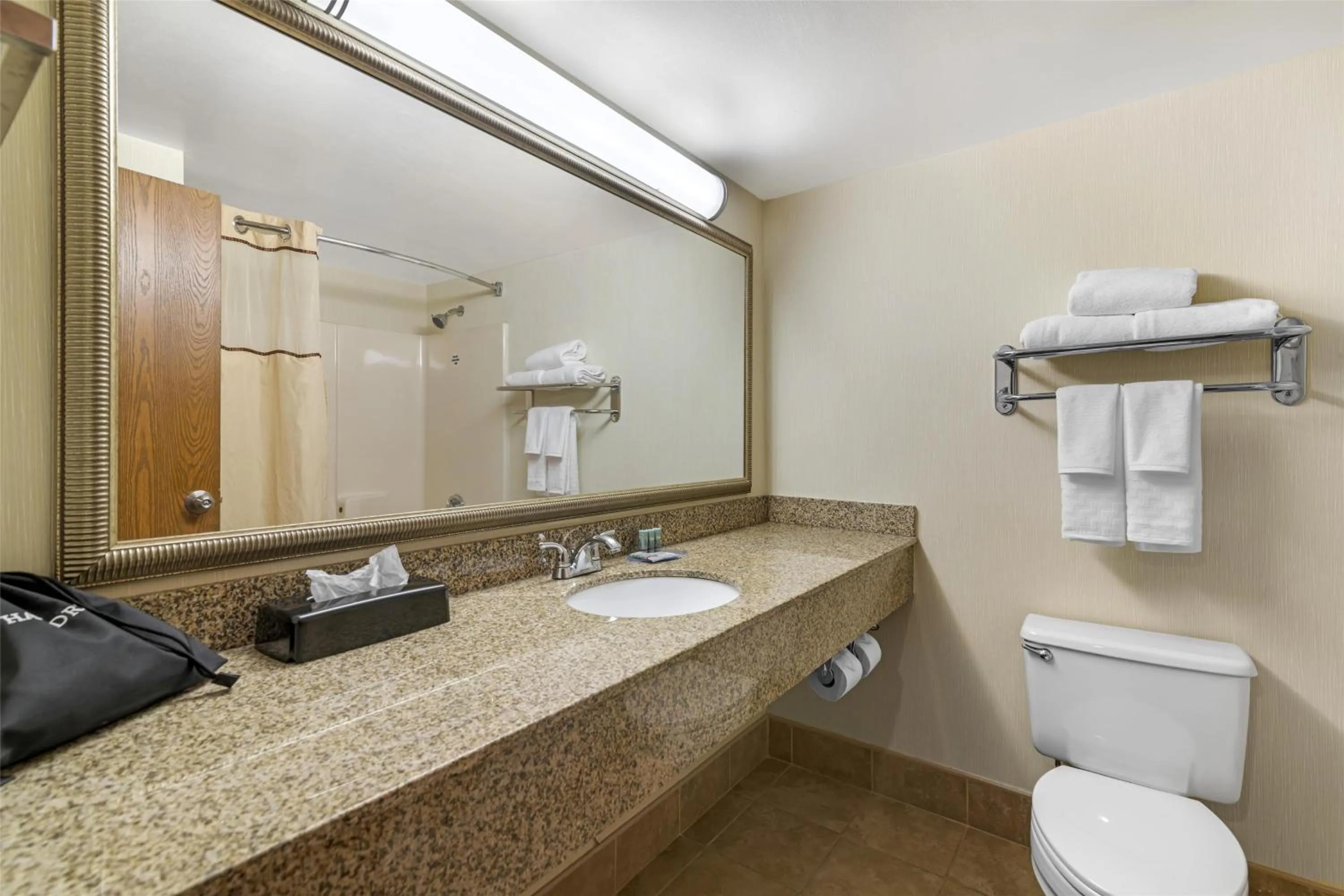 Bathroom in Best Western Royal Plaza Hotel and Trade Center