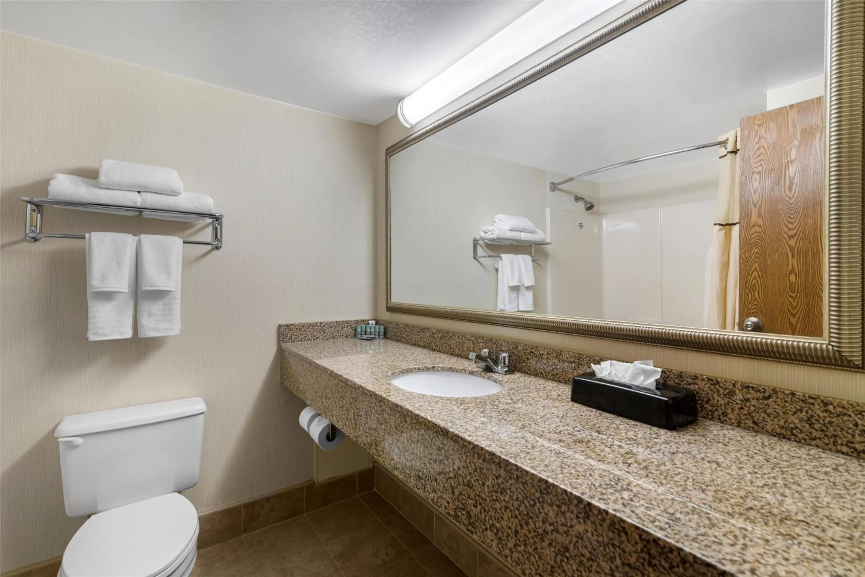 Bathroom in Best Western Royal Plaza Hotel and Trade Center