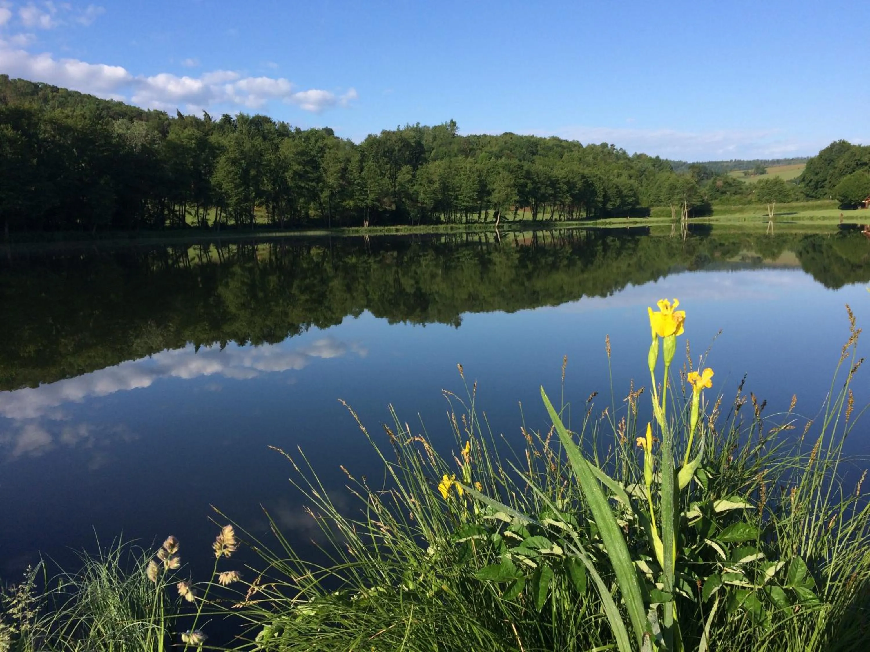 Lake view in Champ De Foire
