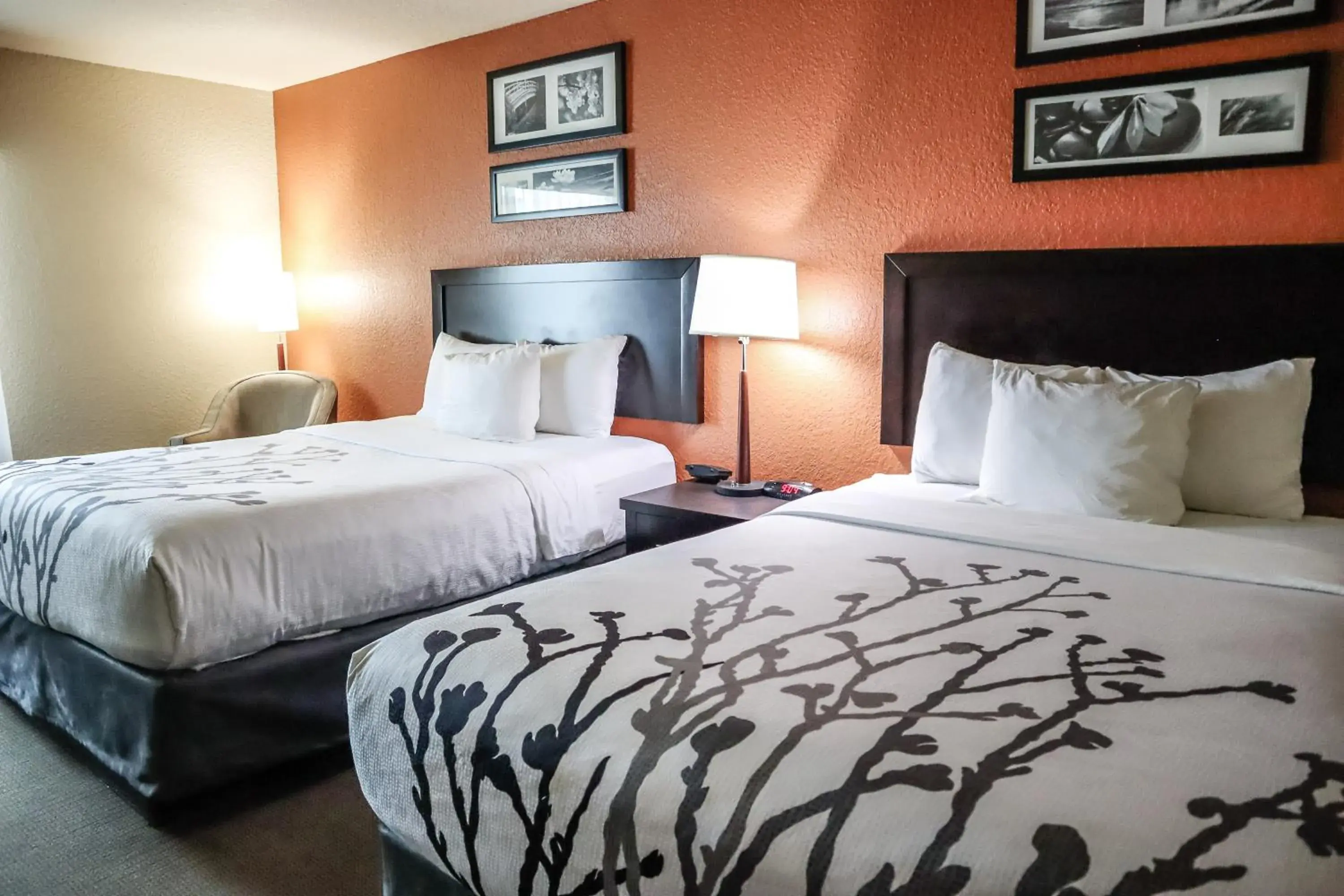 Bed in Sleep Inn & Suites Ocala Bed in Sleep Inn & Suites Ocala