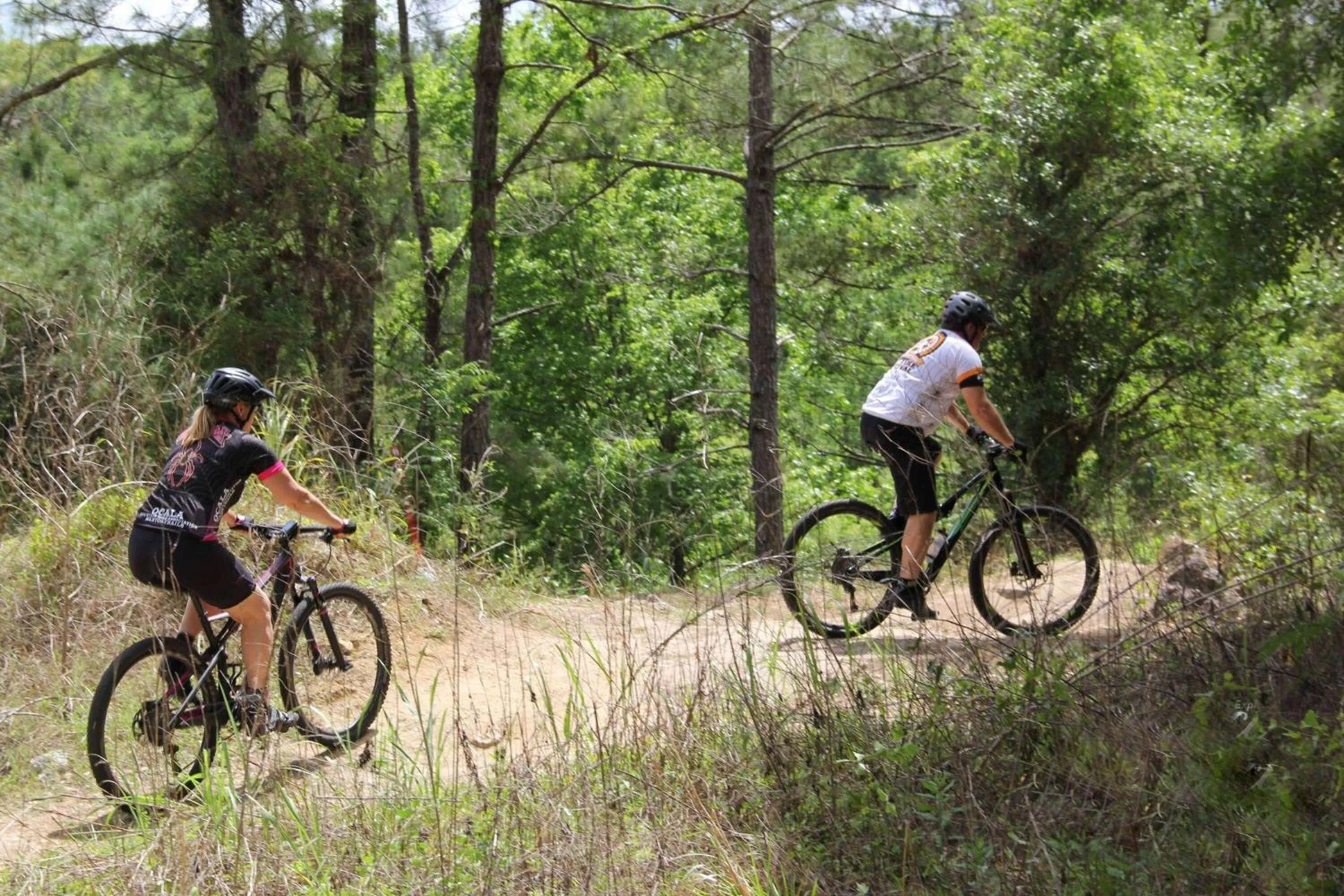 Other in Howard Johnson by Wyndham Ocala FL I-75