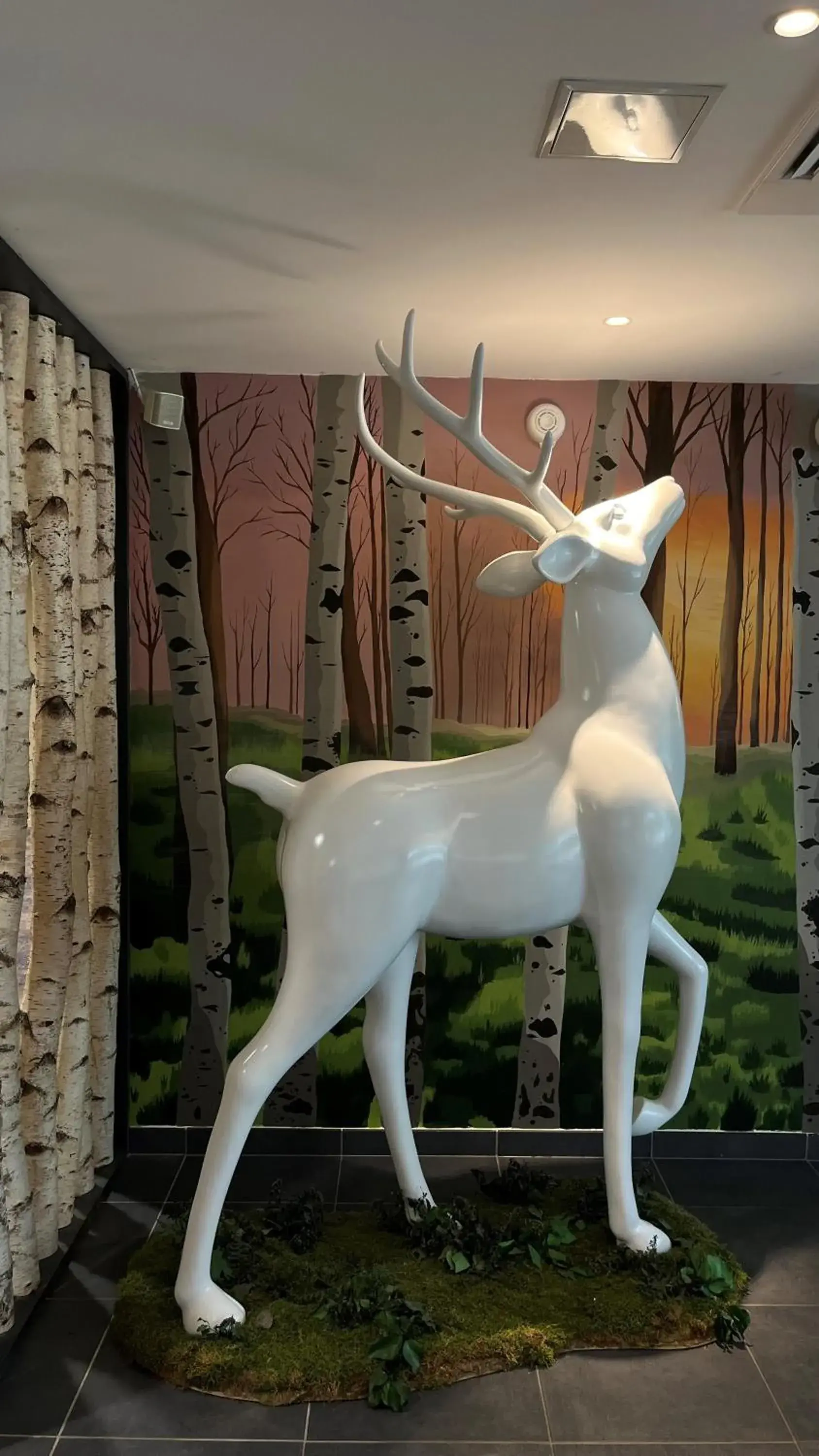 Lobby or reception in Brame de Sologne Lobby or reception in Brame de Sologne