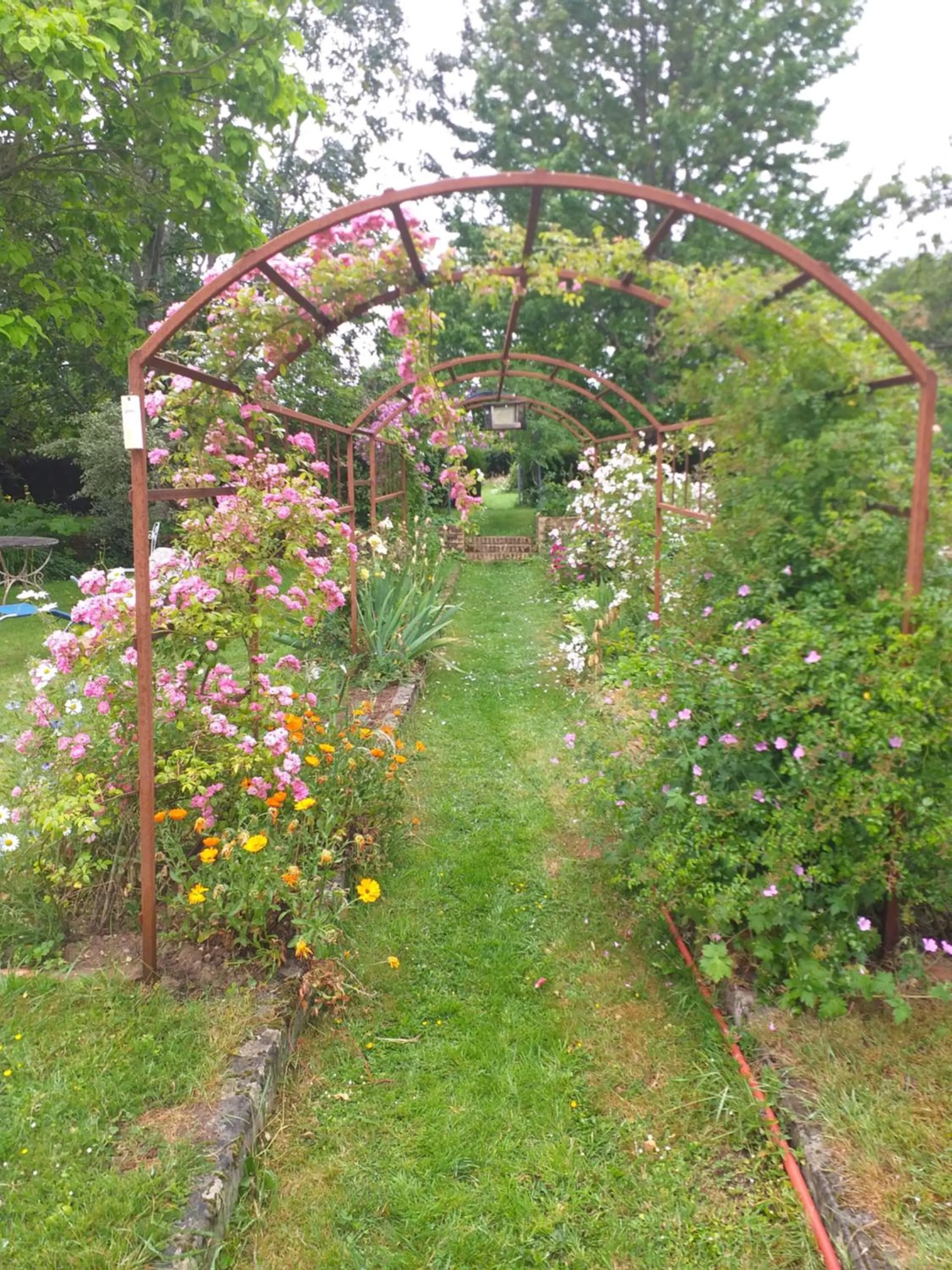 Garden in Ma maison bleue