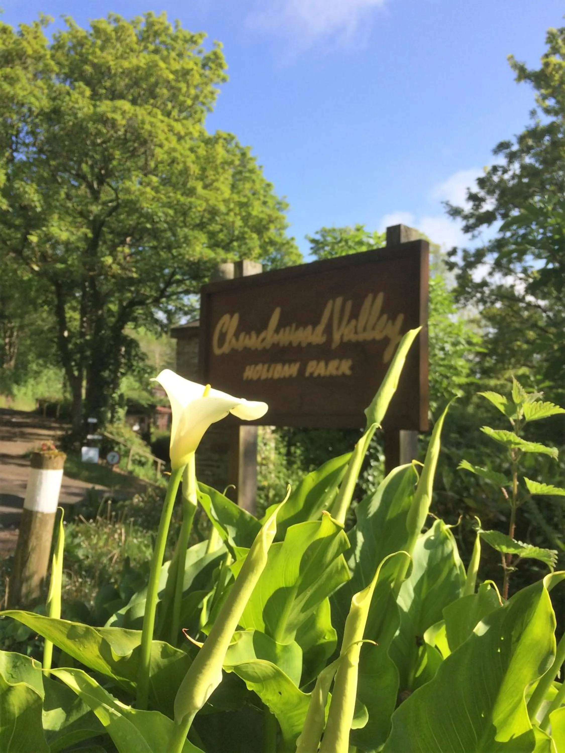 Garden view in Churchwood Valley