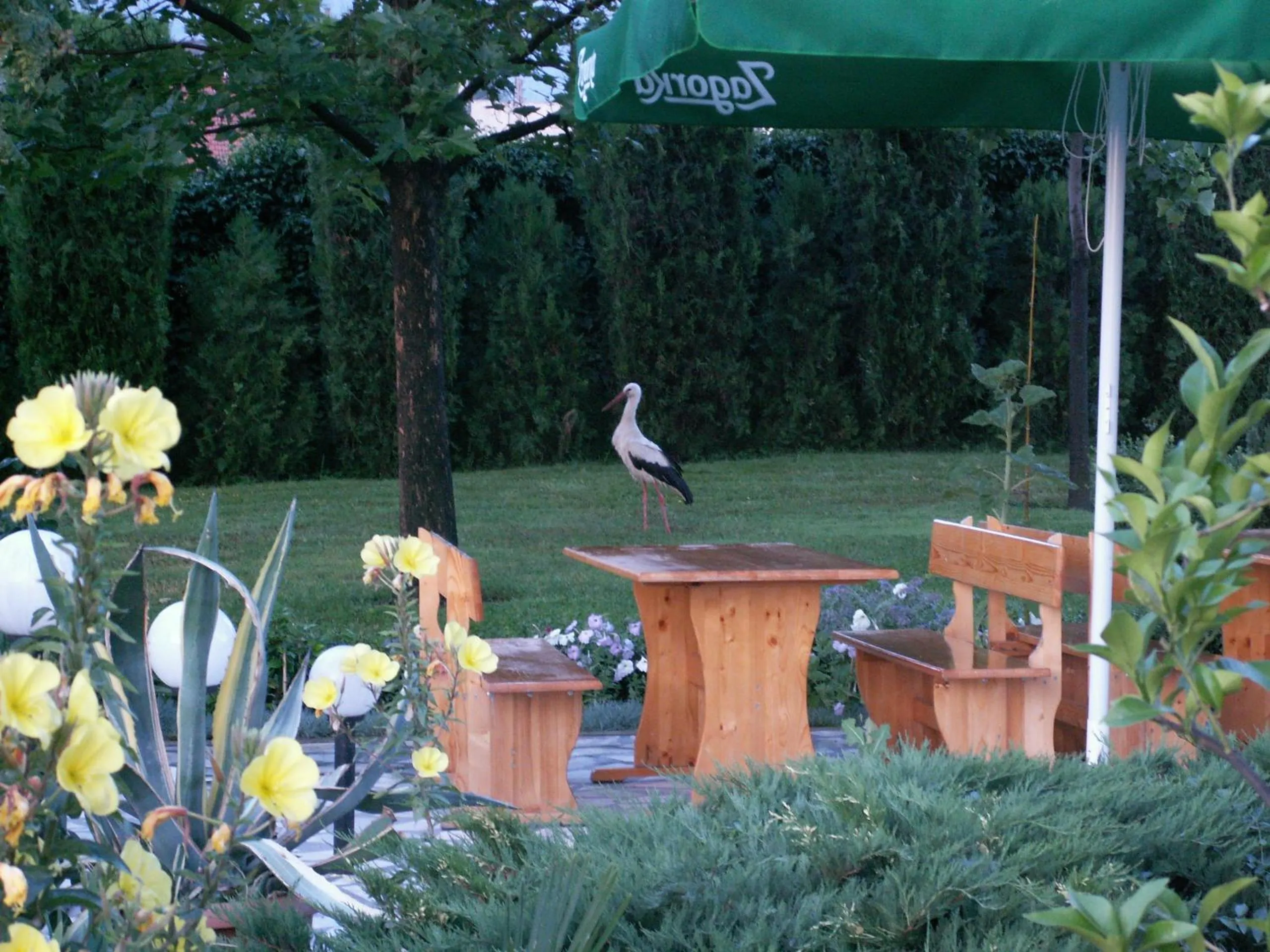 Garden in Dolna Bania Hotel