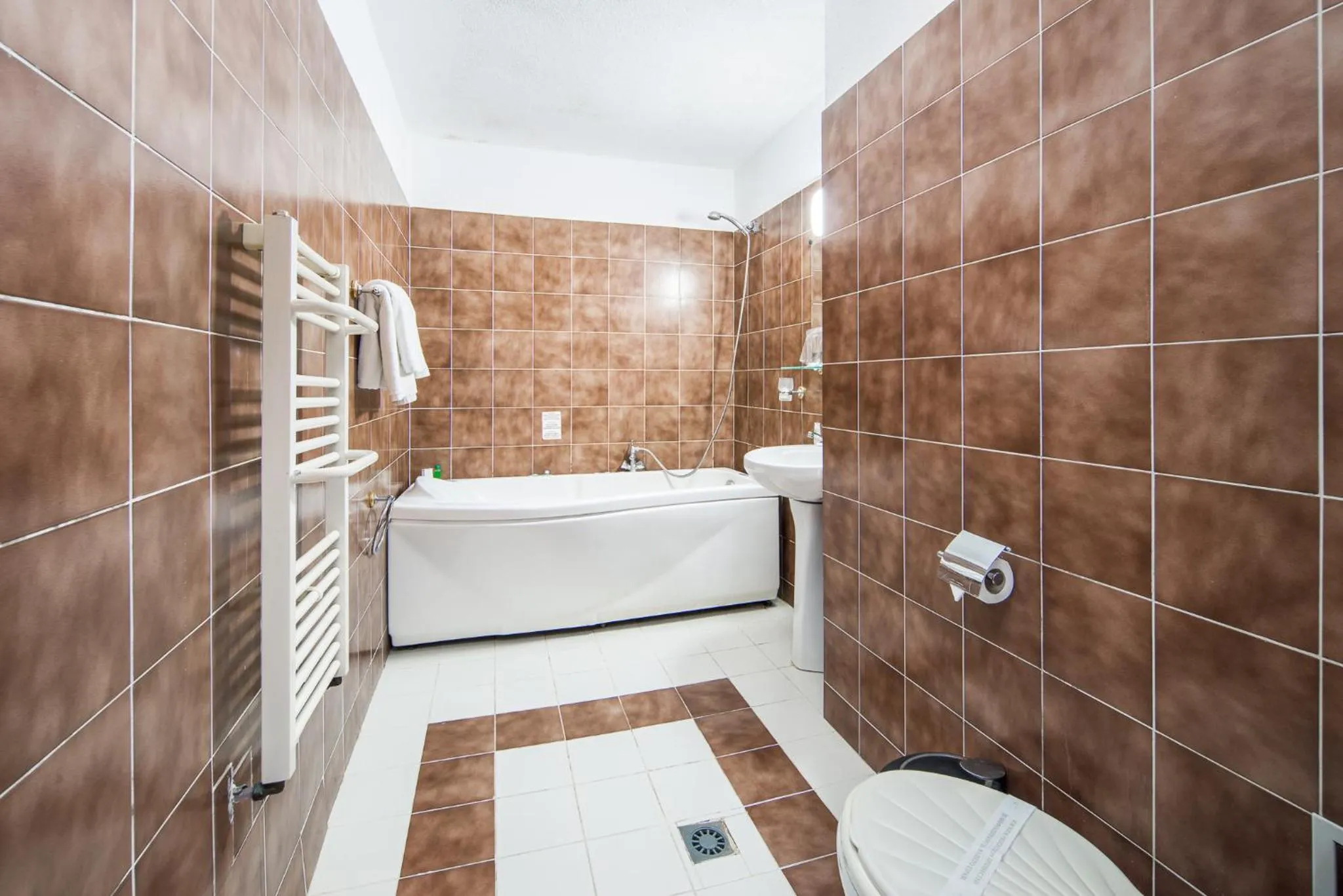 Toilet in Dolna Bania Hotel