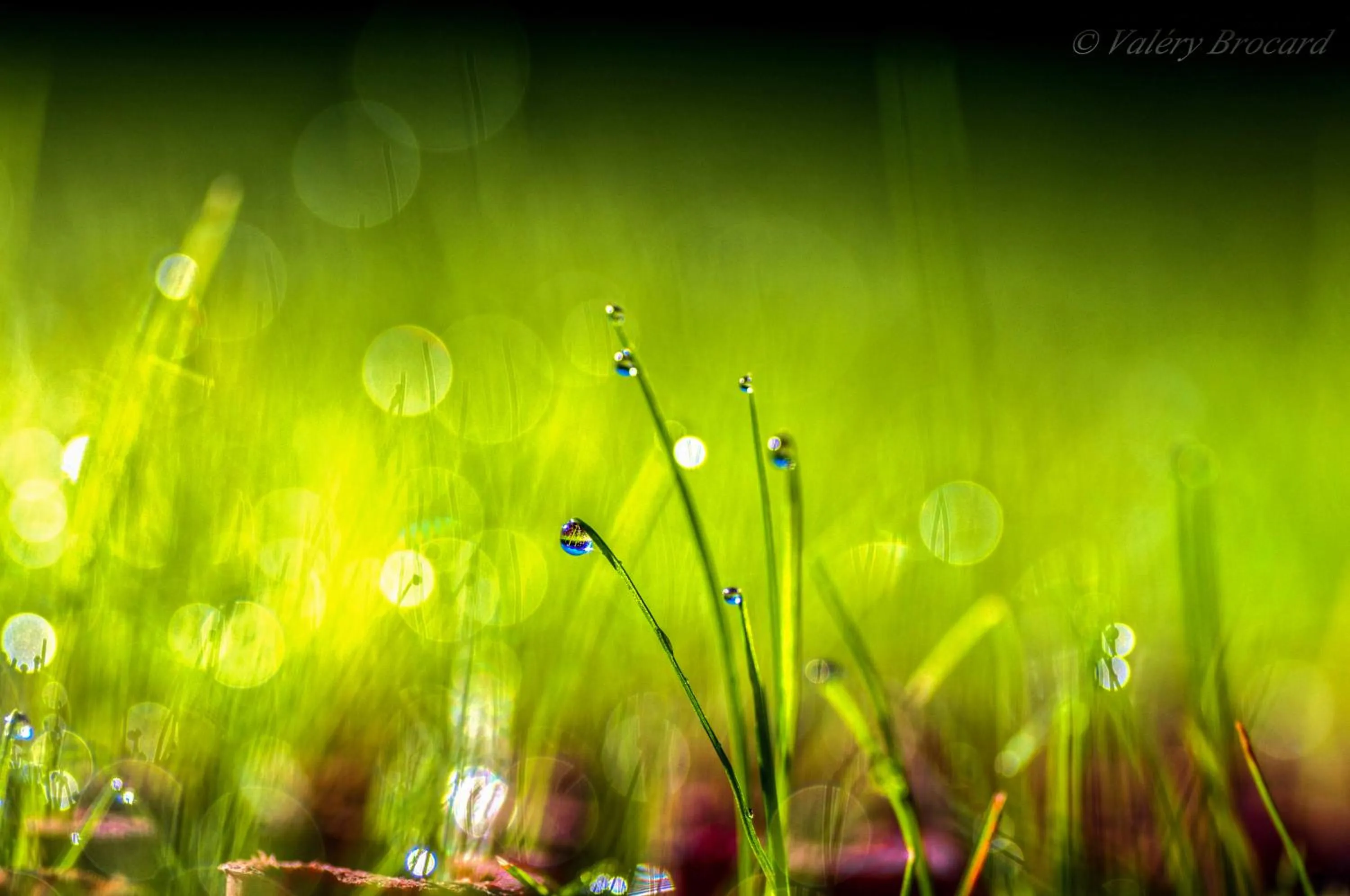 Seasons in San-Val' Eau