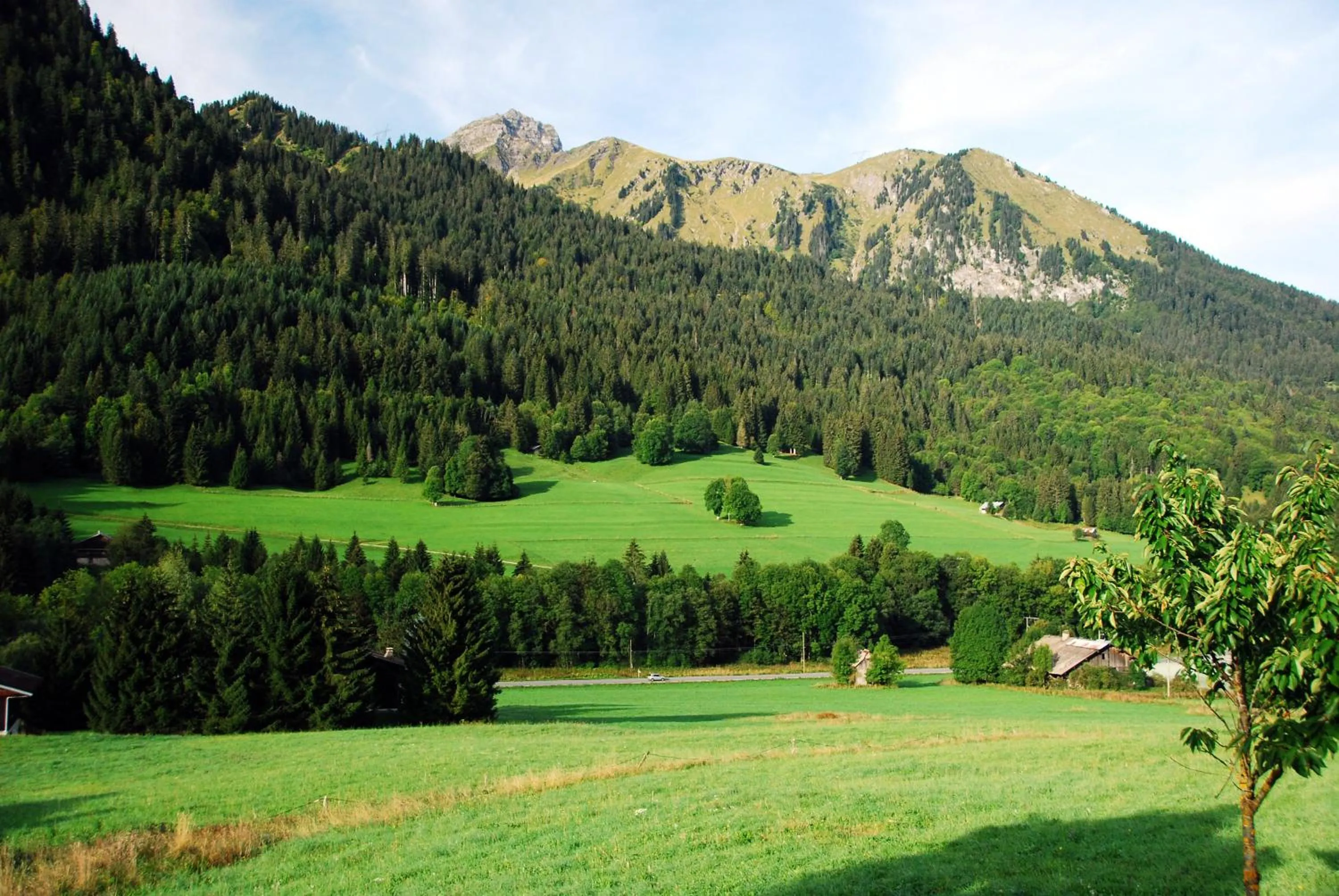 Chalet Cannelle