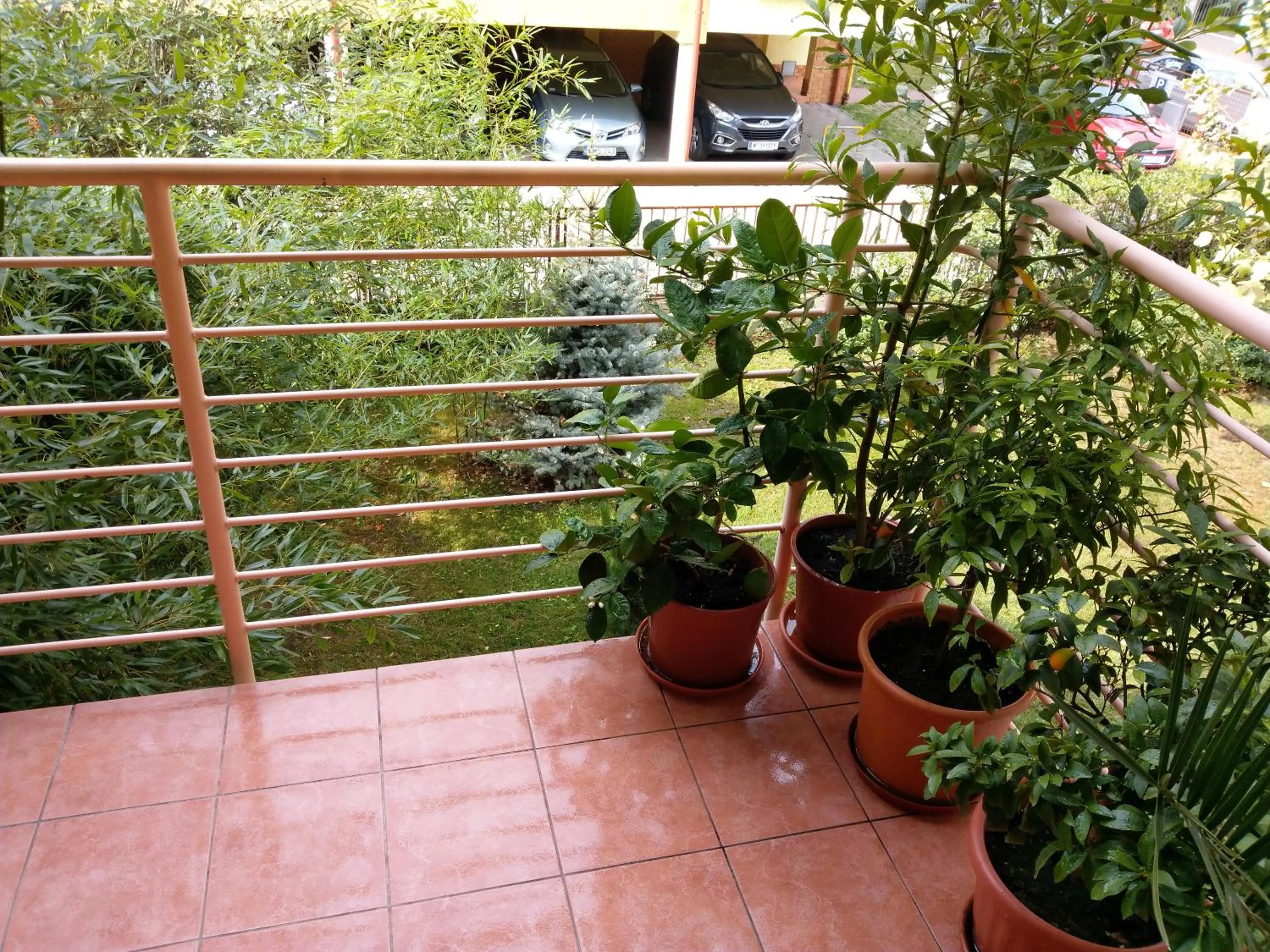 Balcony/Terrace in Mandarin Wellness Apartman