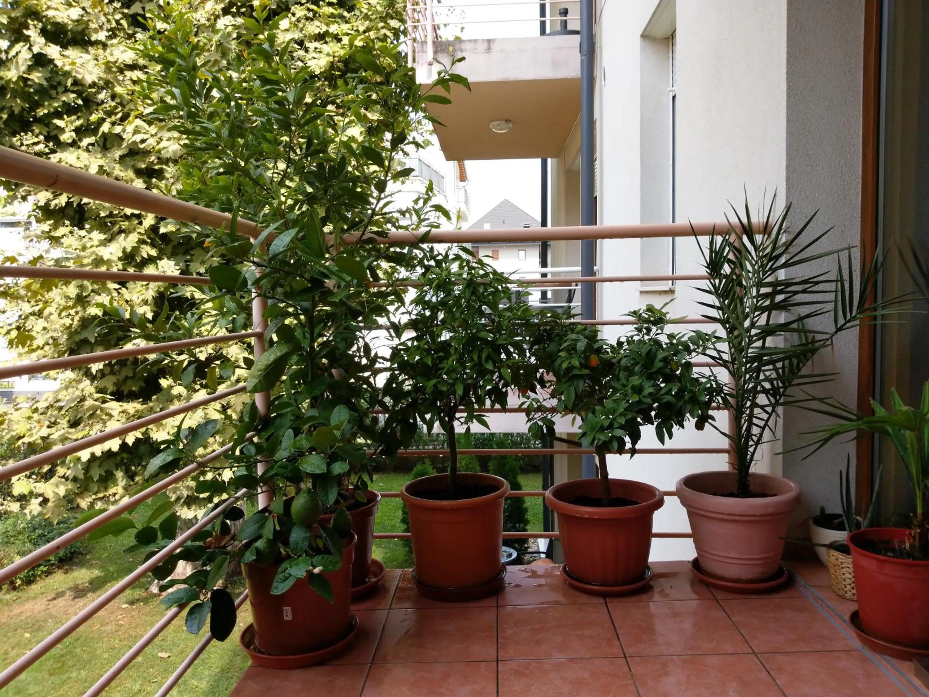 Balcony/Terrace in Mandarin Wellness Apartman