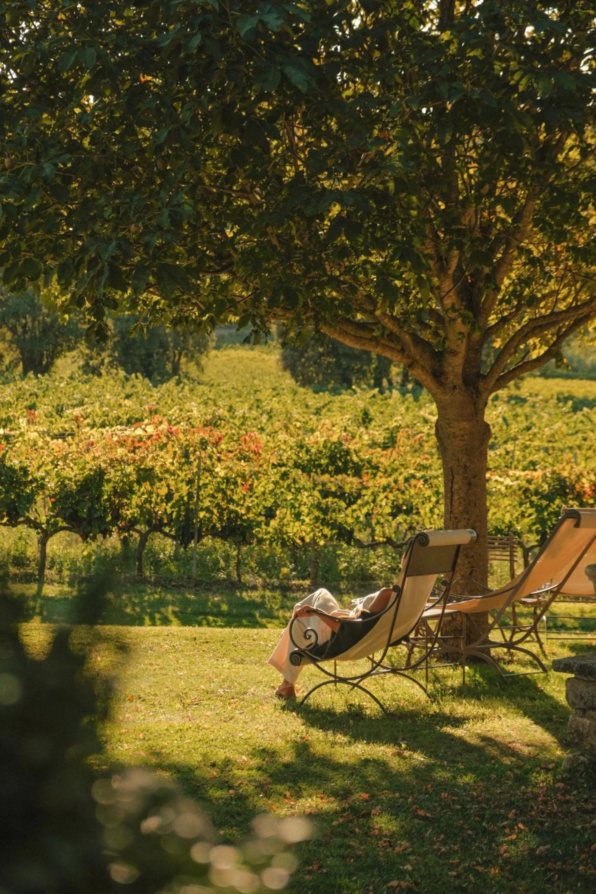 Garden in La Bastide de Marie, Maisons et Hôtels Sibuet