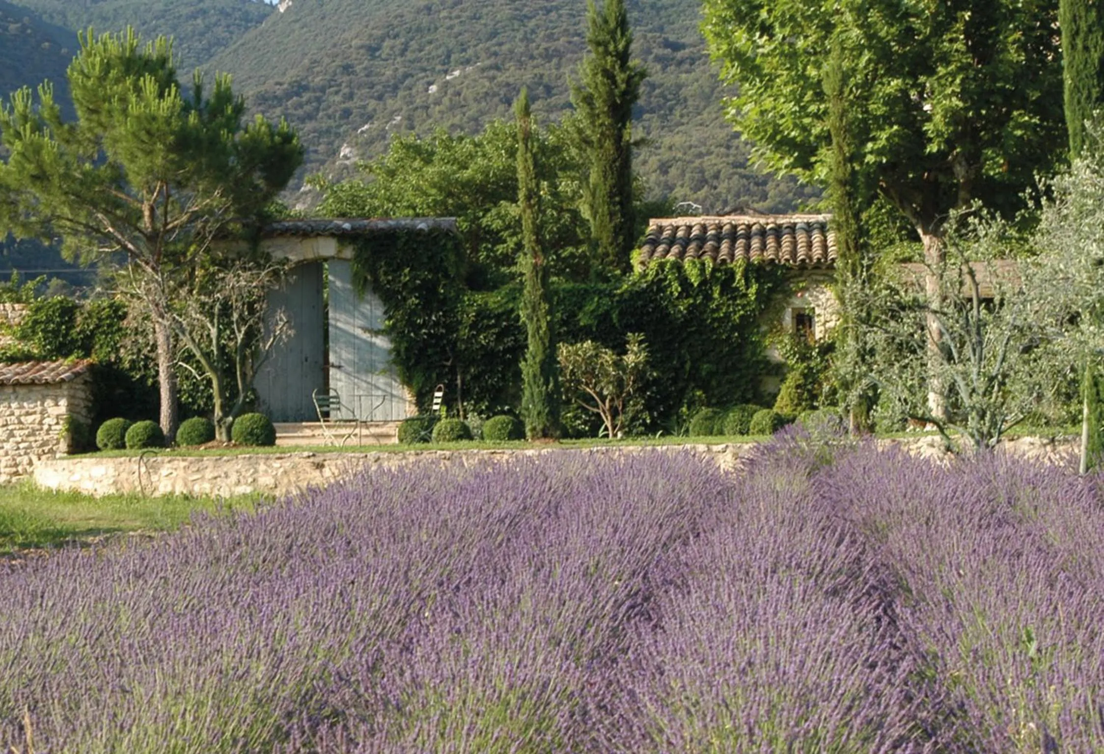 Garden in La Bastide de Marie, Maisons et Hôtels Sibuet