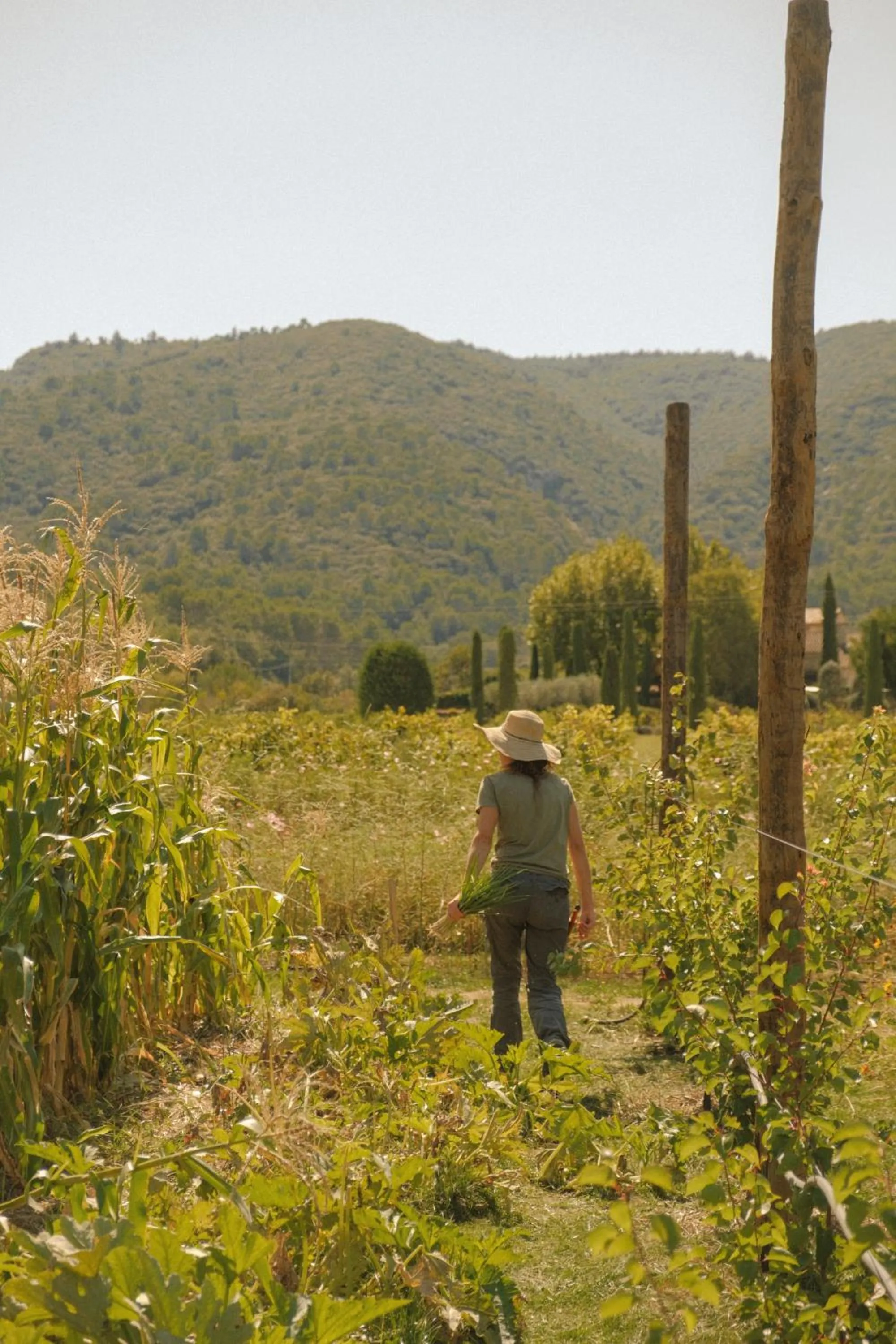 Garden view in La Bastide de Marie, Maisons et Hôtels Sibuet