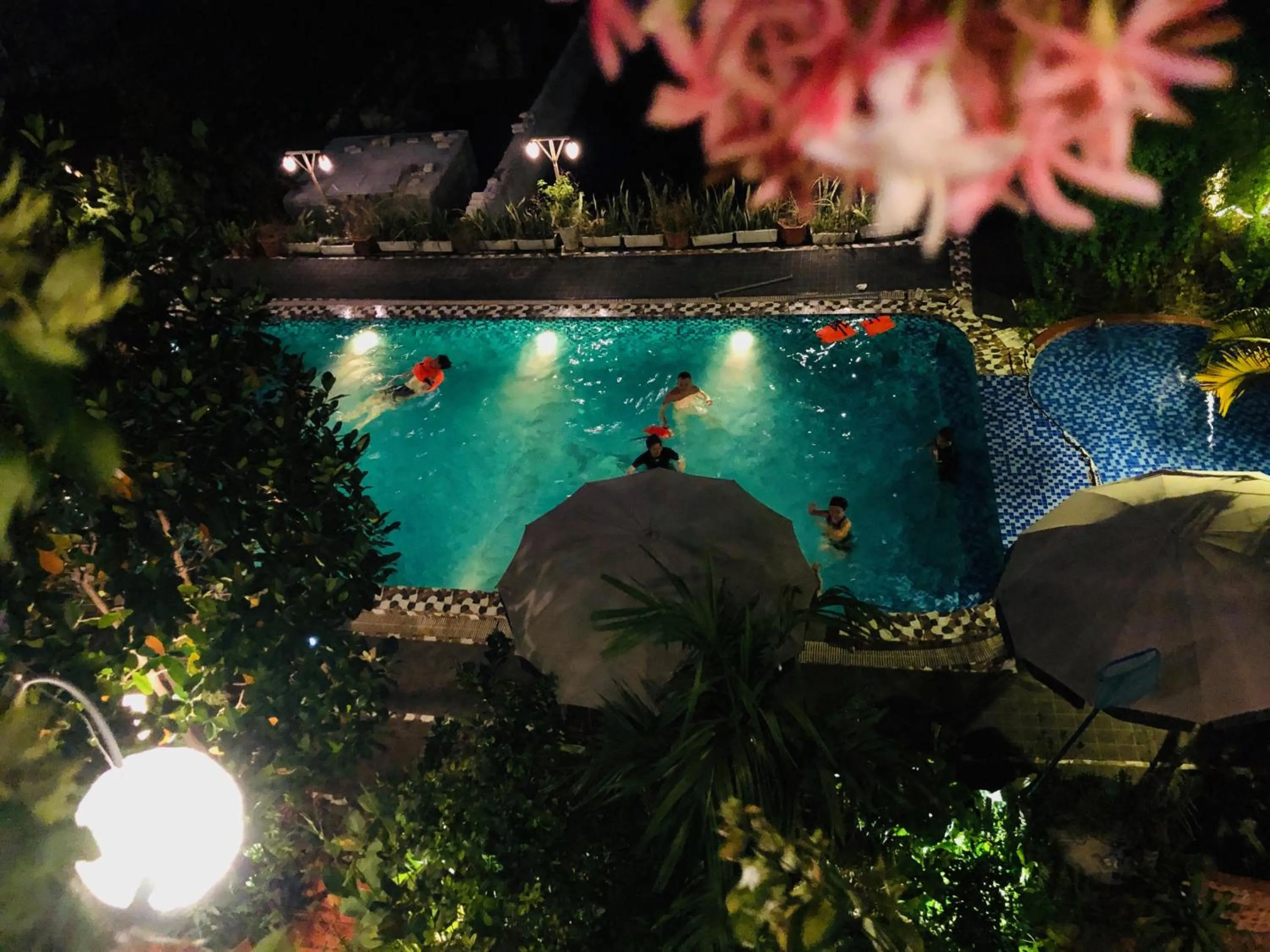 Pool view in Ninh Binh Greenland Homestay