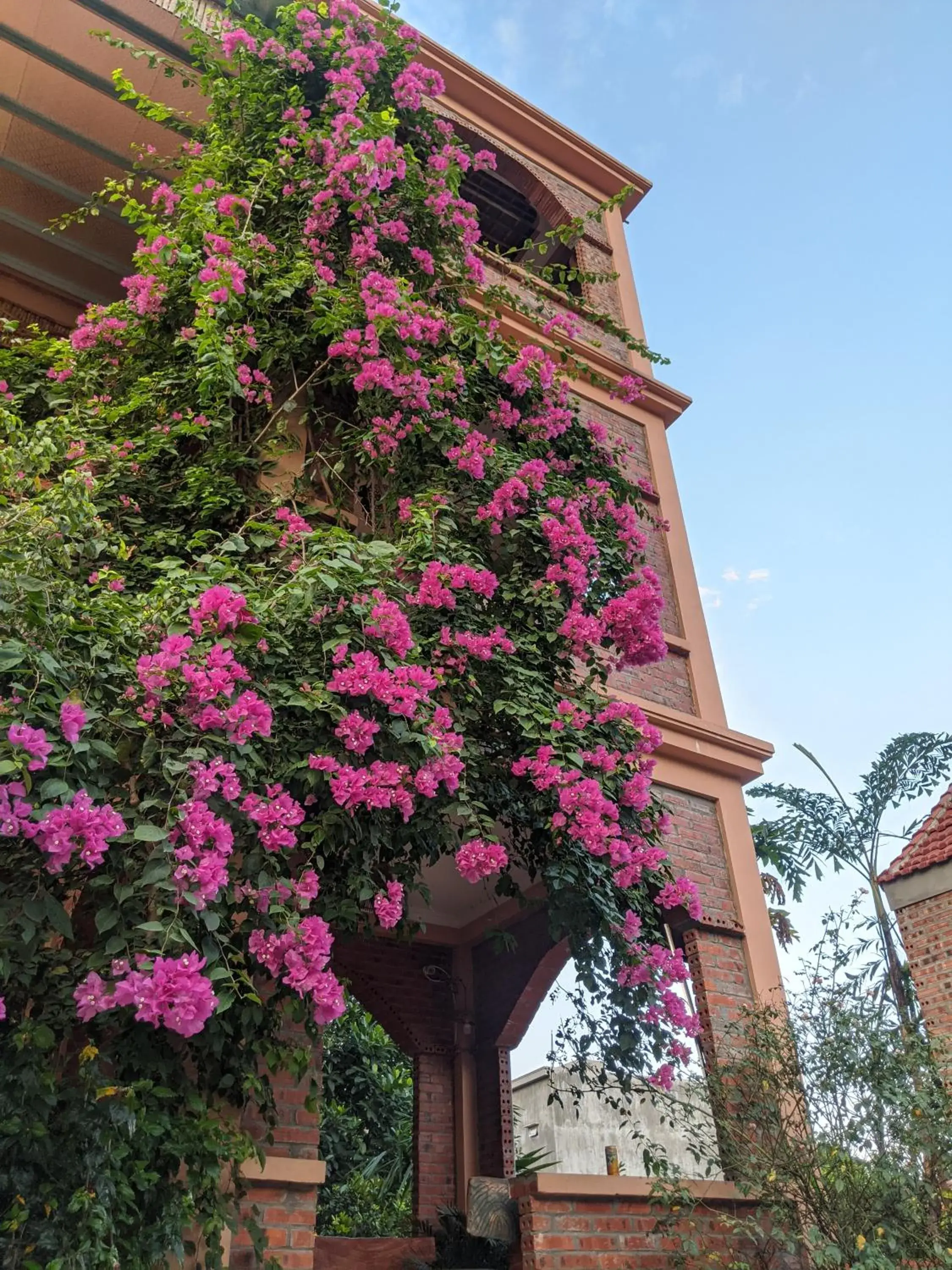 Property building in Ninh Binh Greenland Homestay Property building in Ninh Binh Greenland Homestay