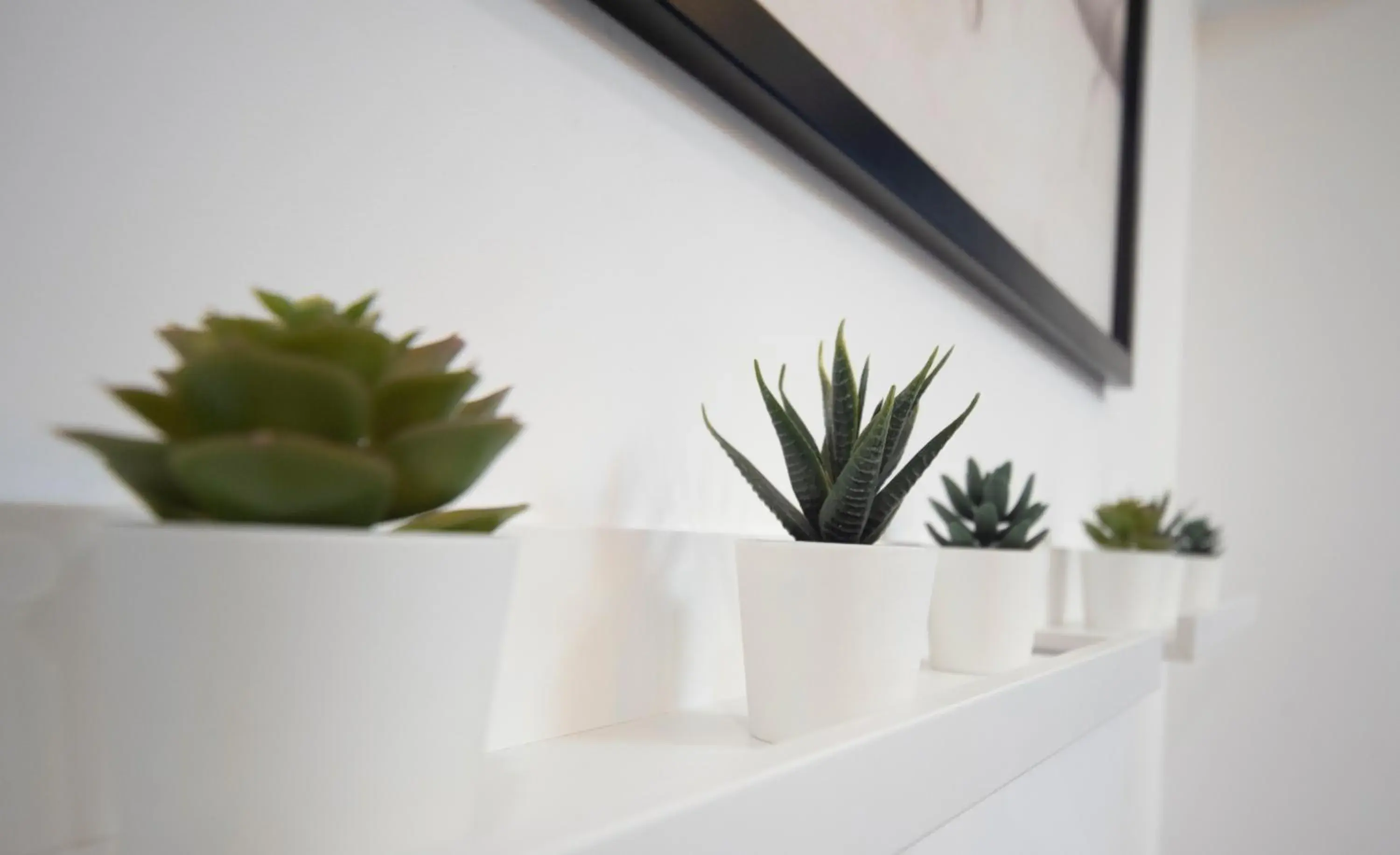 Lobby or reception in Lika Hotel Lobby or reception in Lika Hotel