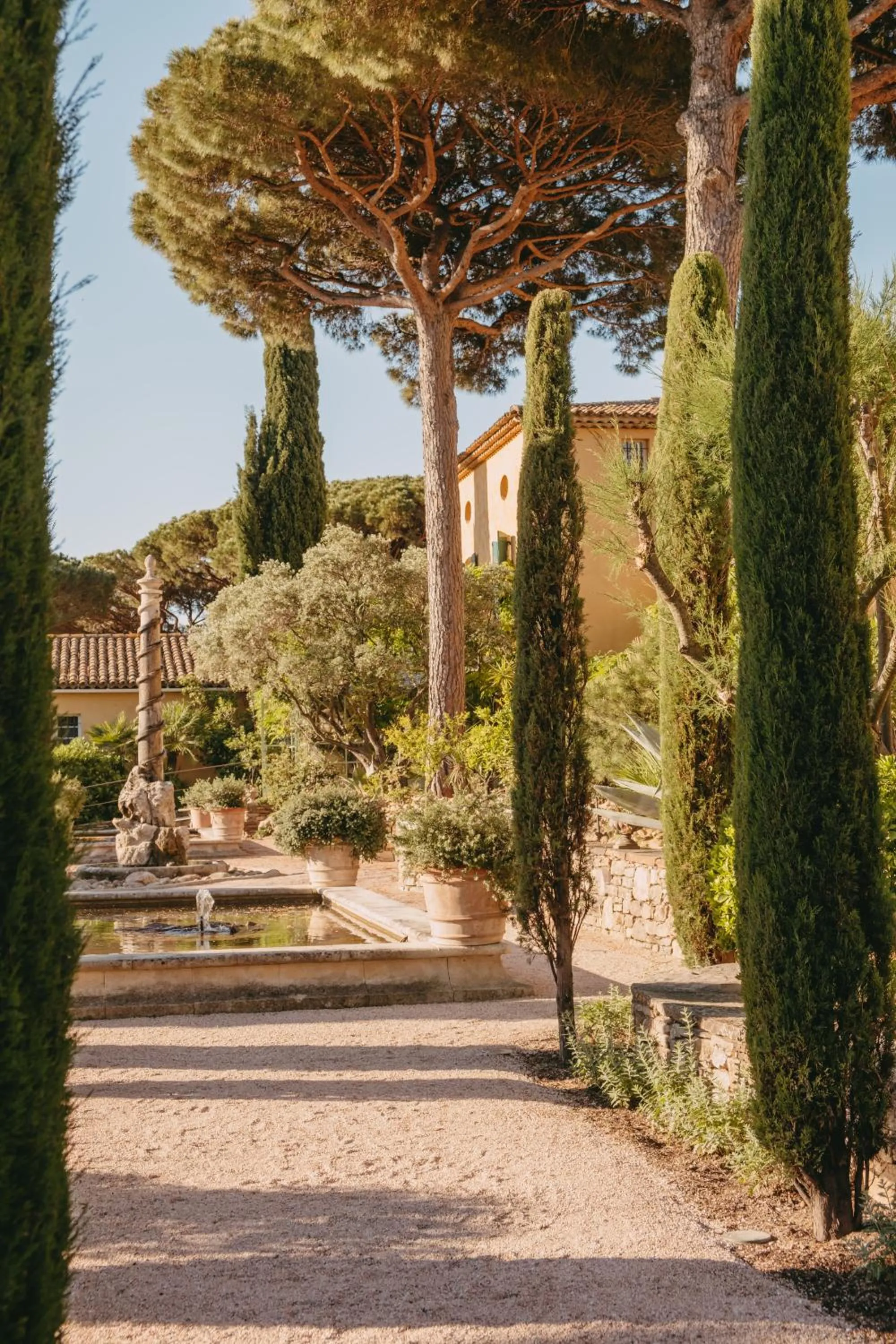 Garden in Hôtel Villa Marie Saint Tropez