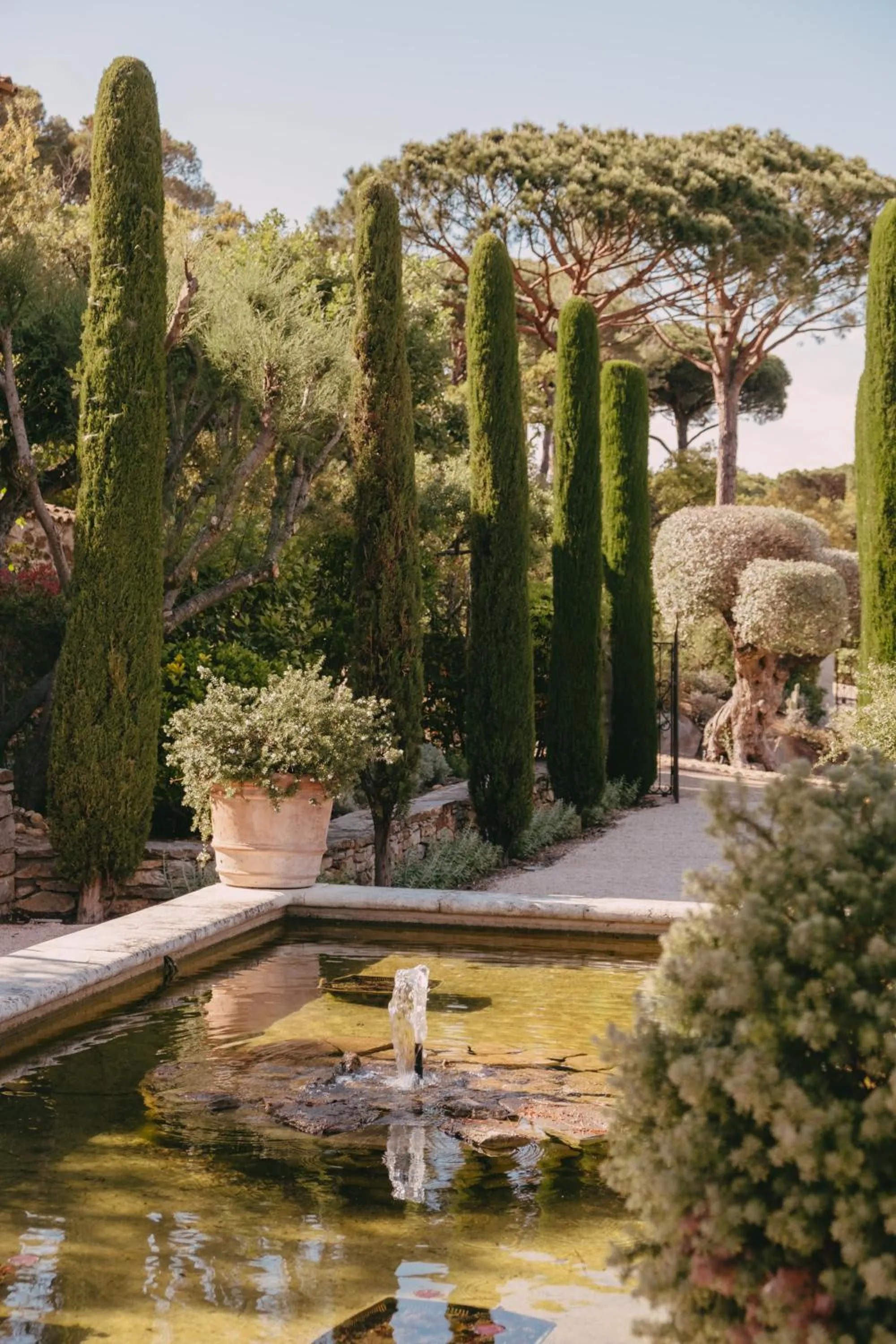 Garden in Hôtel Villa Marie Saint Tropez