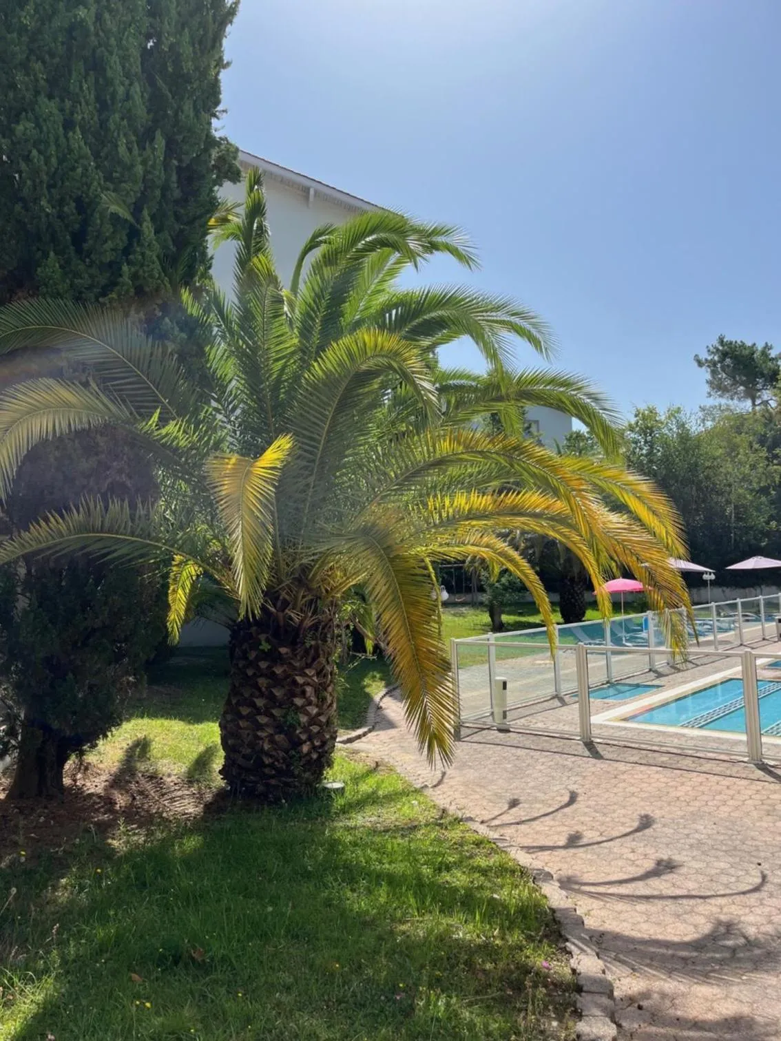 Garden view in Hotel Résidence Anglet Biarritz-Parme