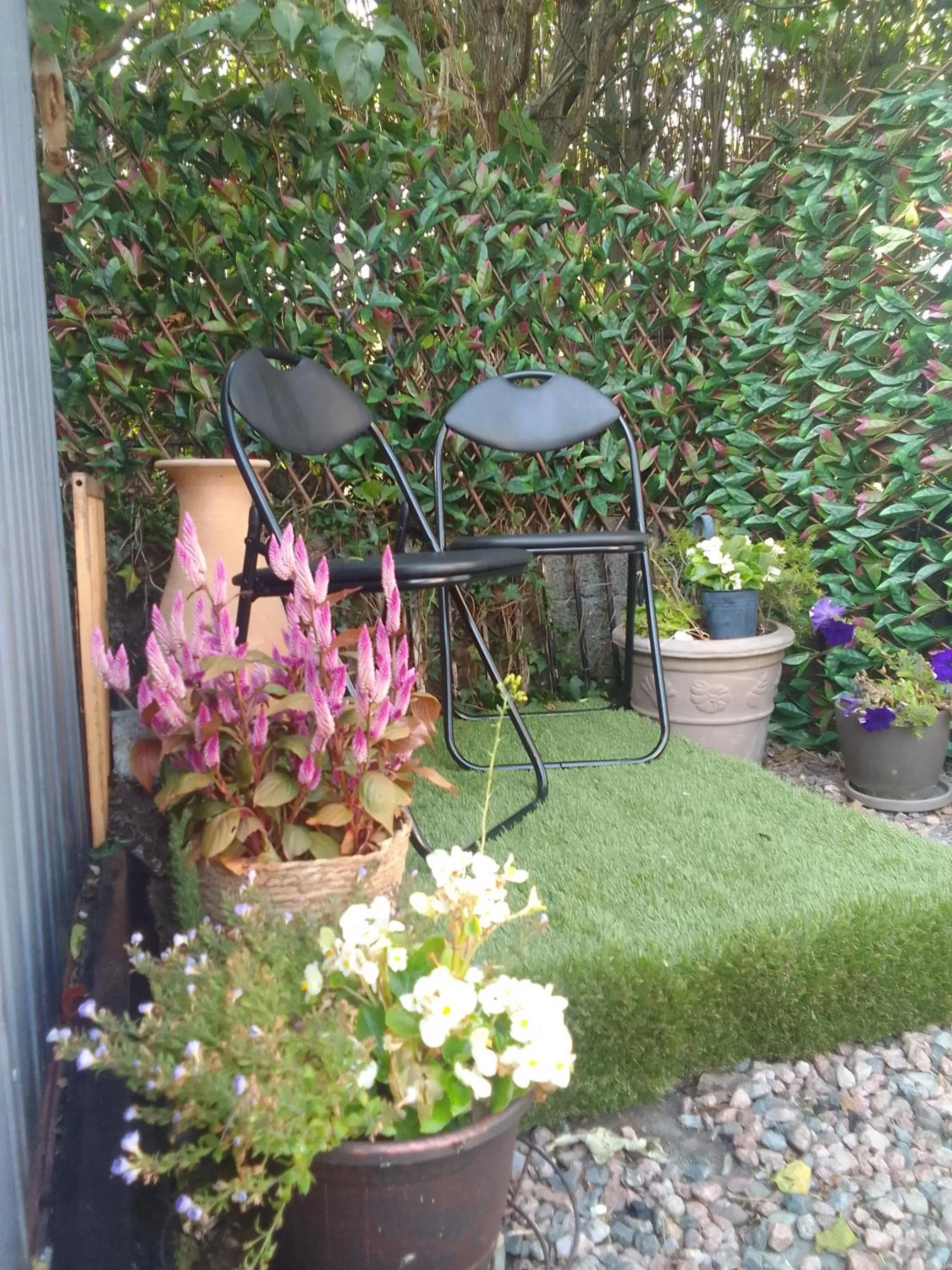 Garden in The Oystercatcher