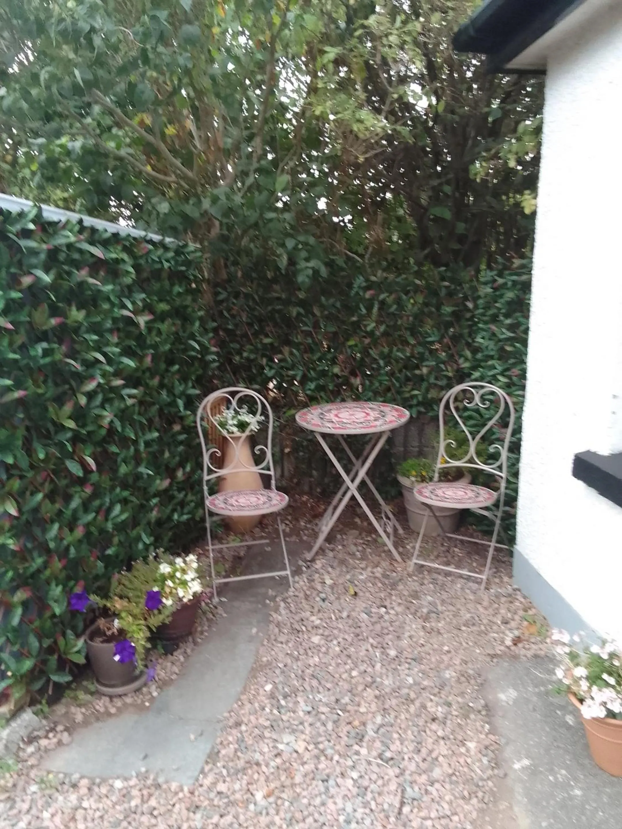 Other in The Oystercatcher