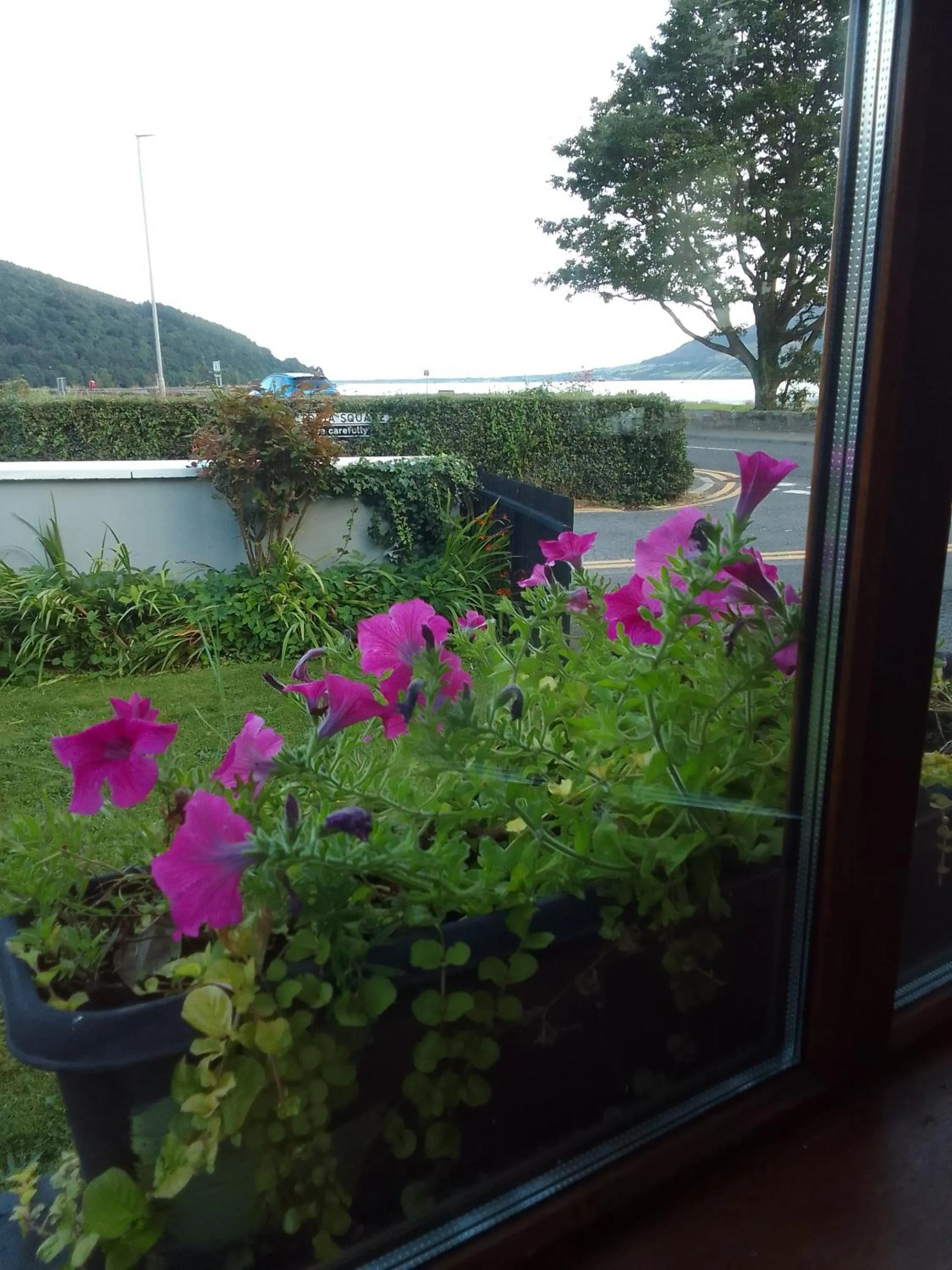 Other in The Oystercatcher