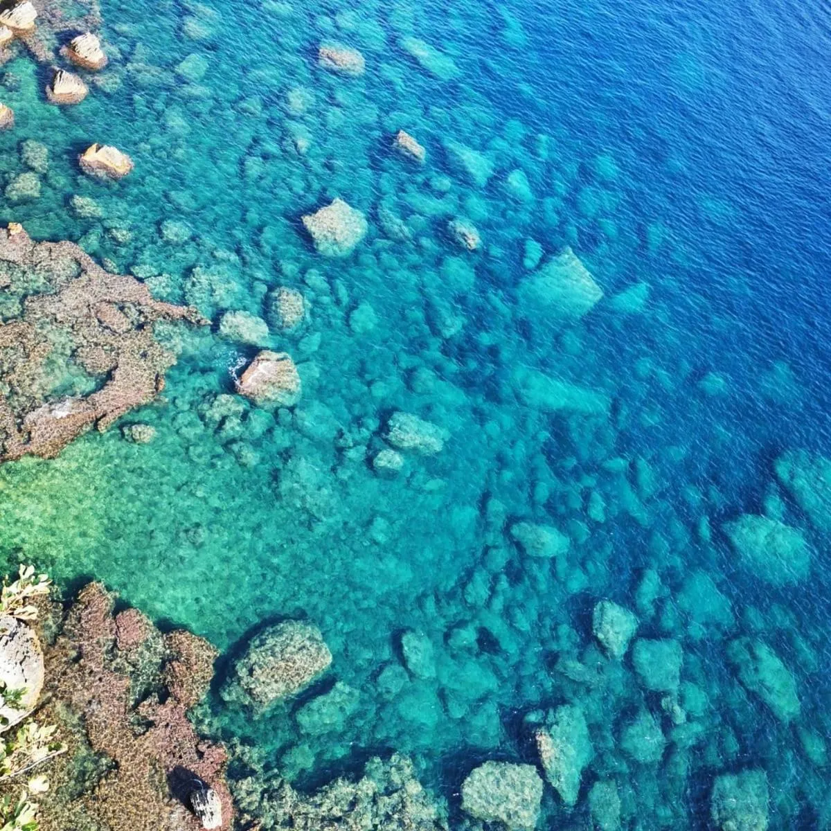 Hôtel Les Suites Du Maquis