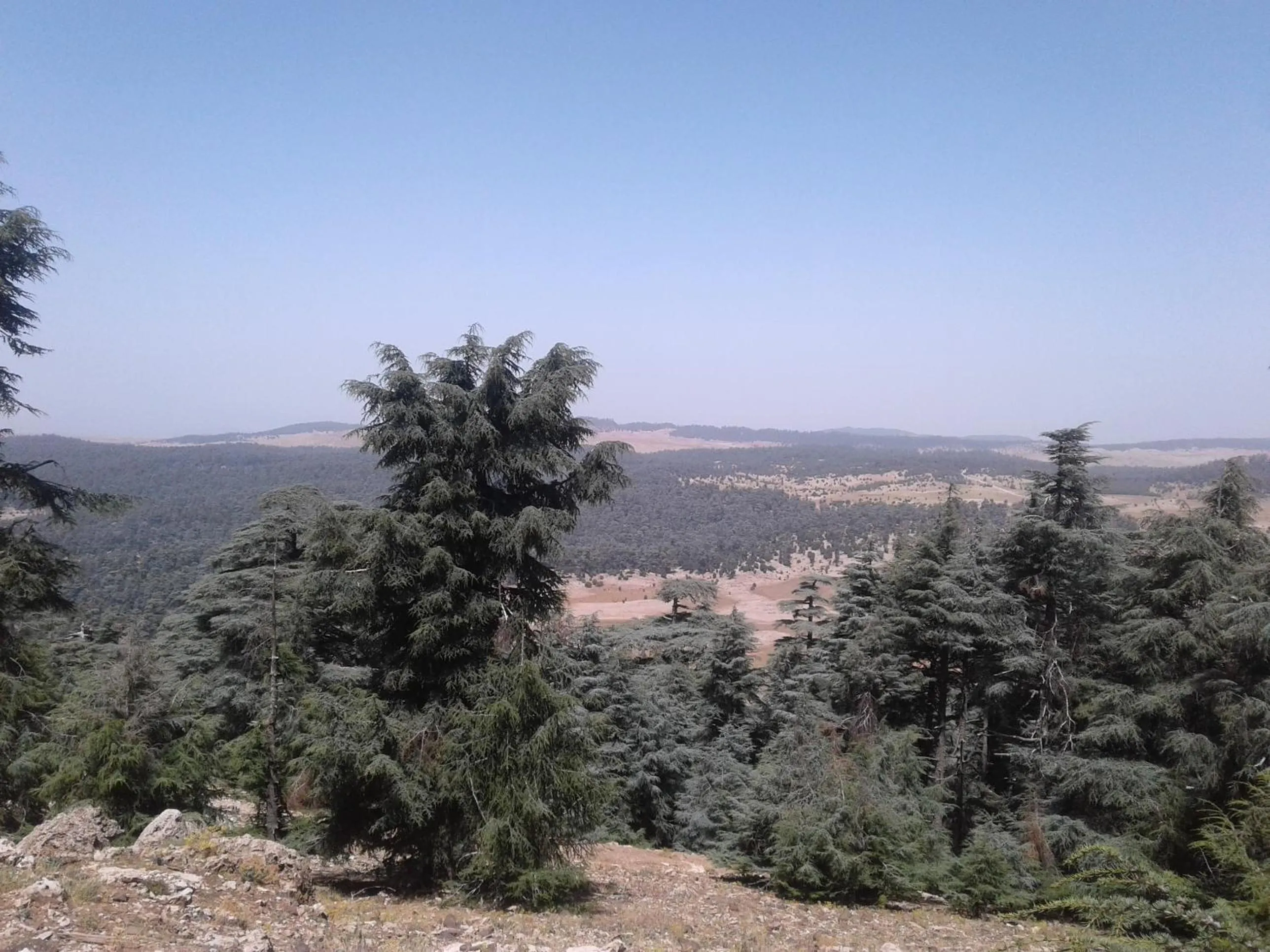 Natural landscape in Gîte Forest Tagroumte
