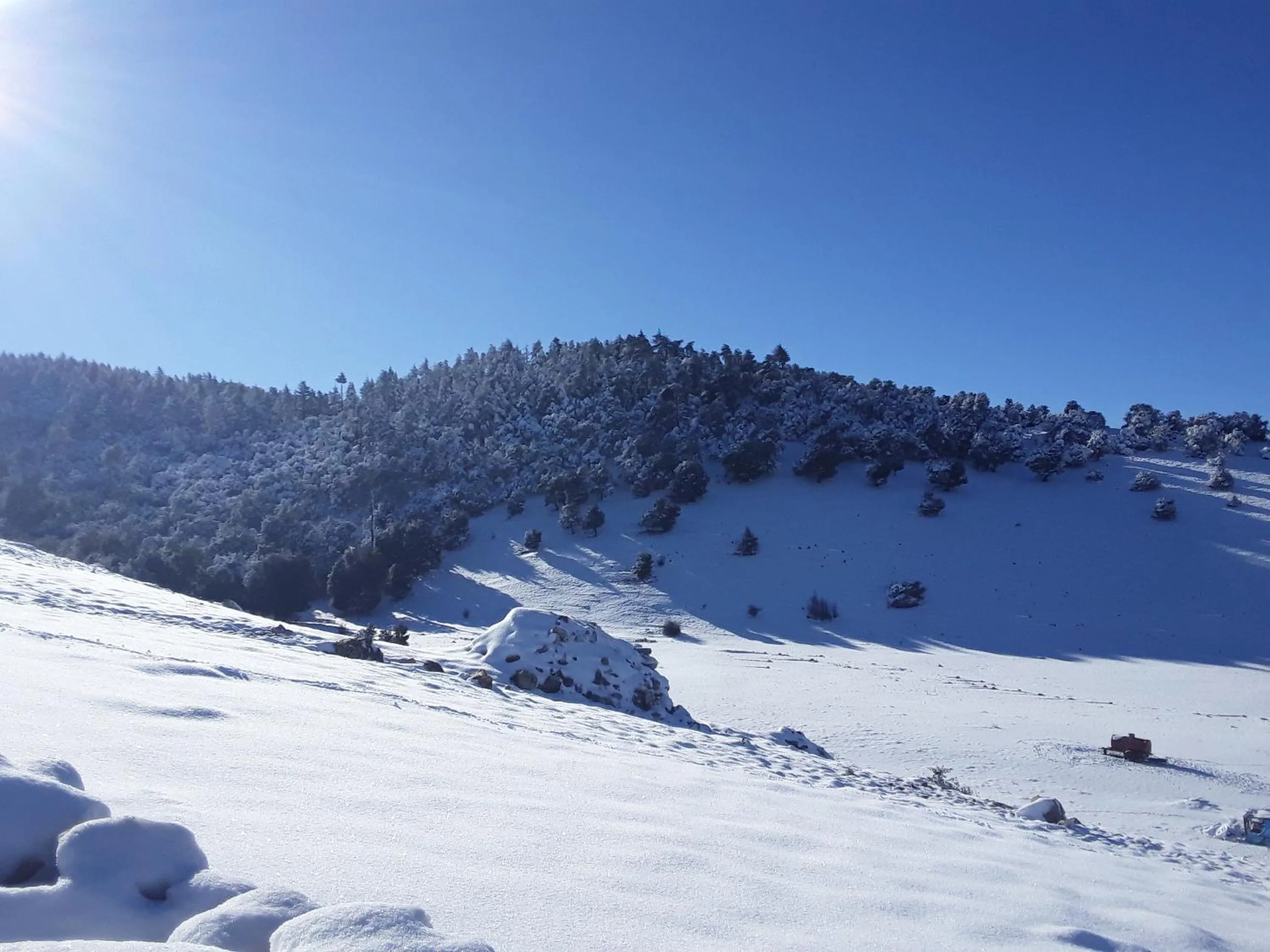 Natural landscape in Gîte Forest Tagroumte