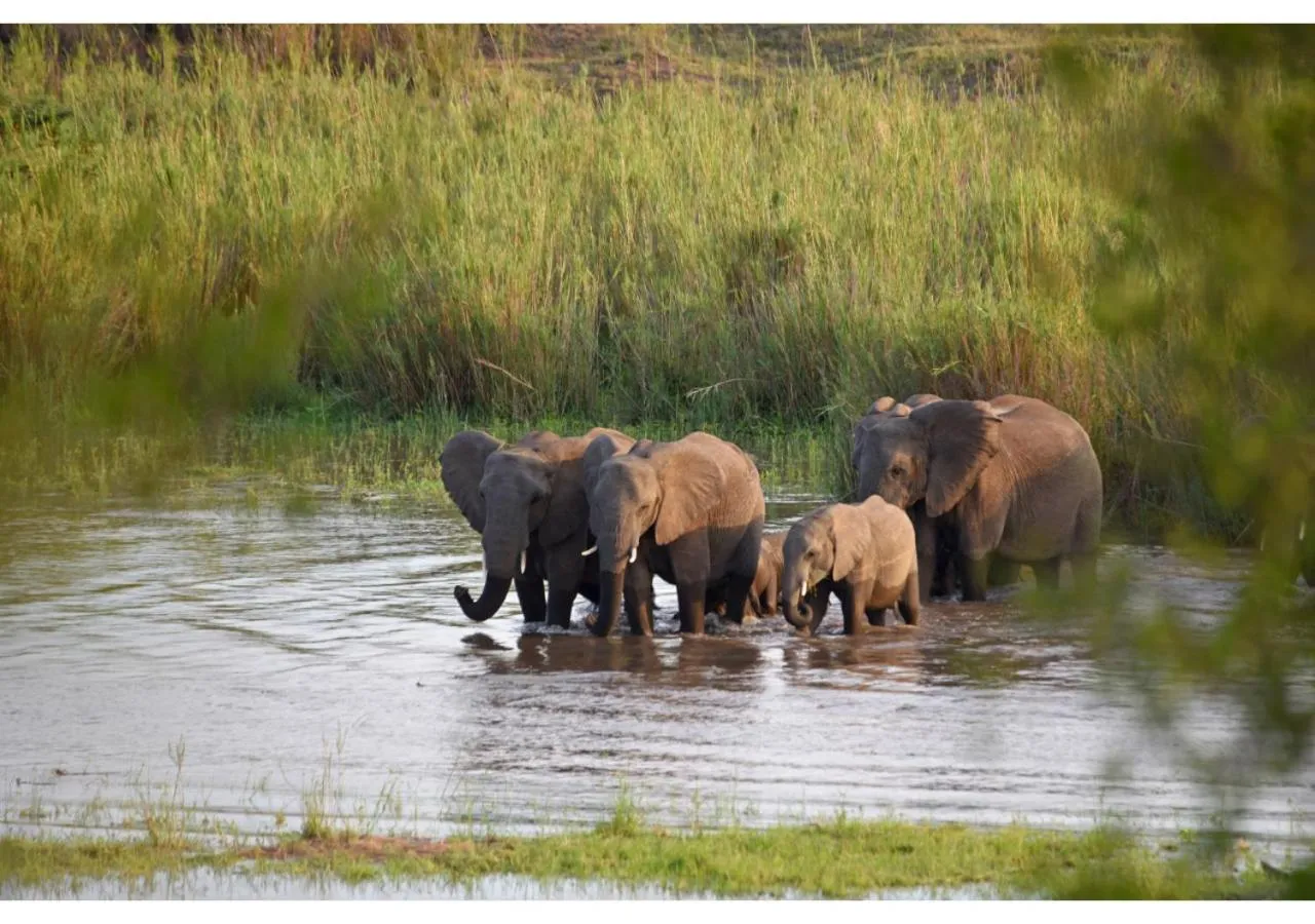 Natural landscape in Mziki Safari Lodge