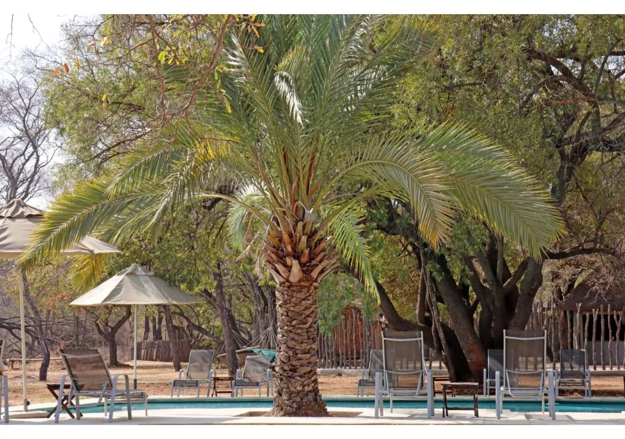 Patio in Mziki Safari Lodge