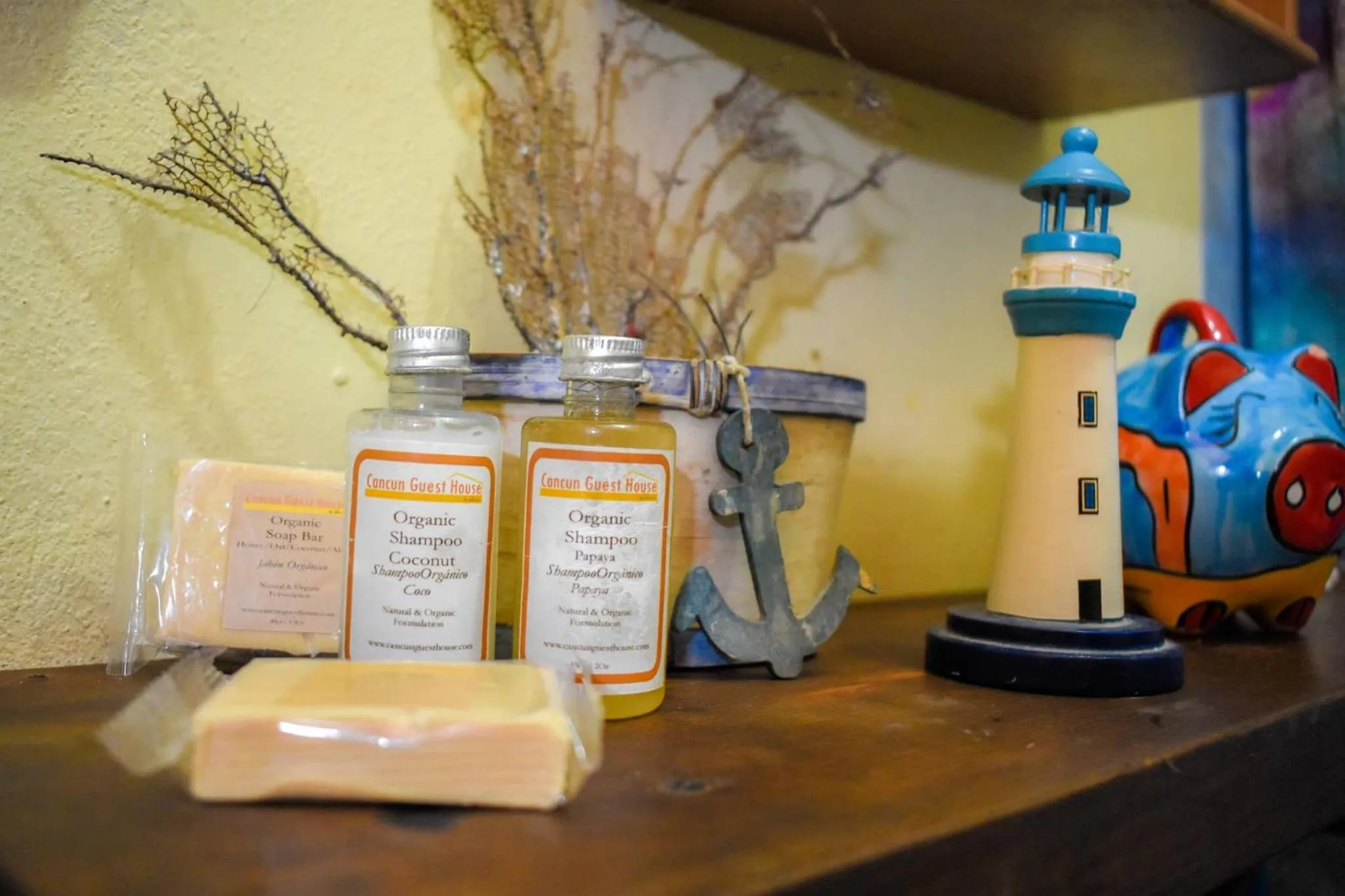 Toilet in Cancun Guest House 6