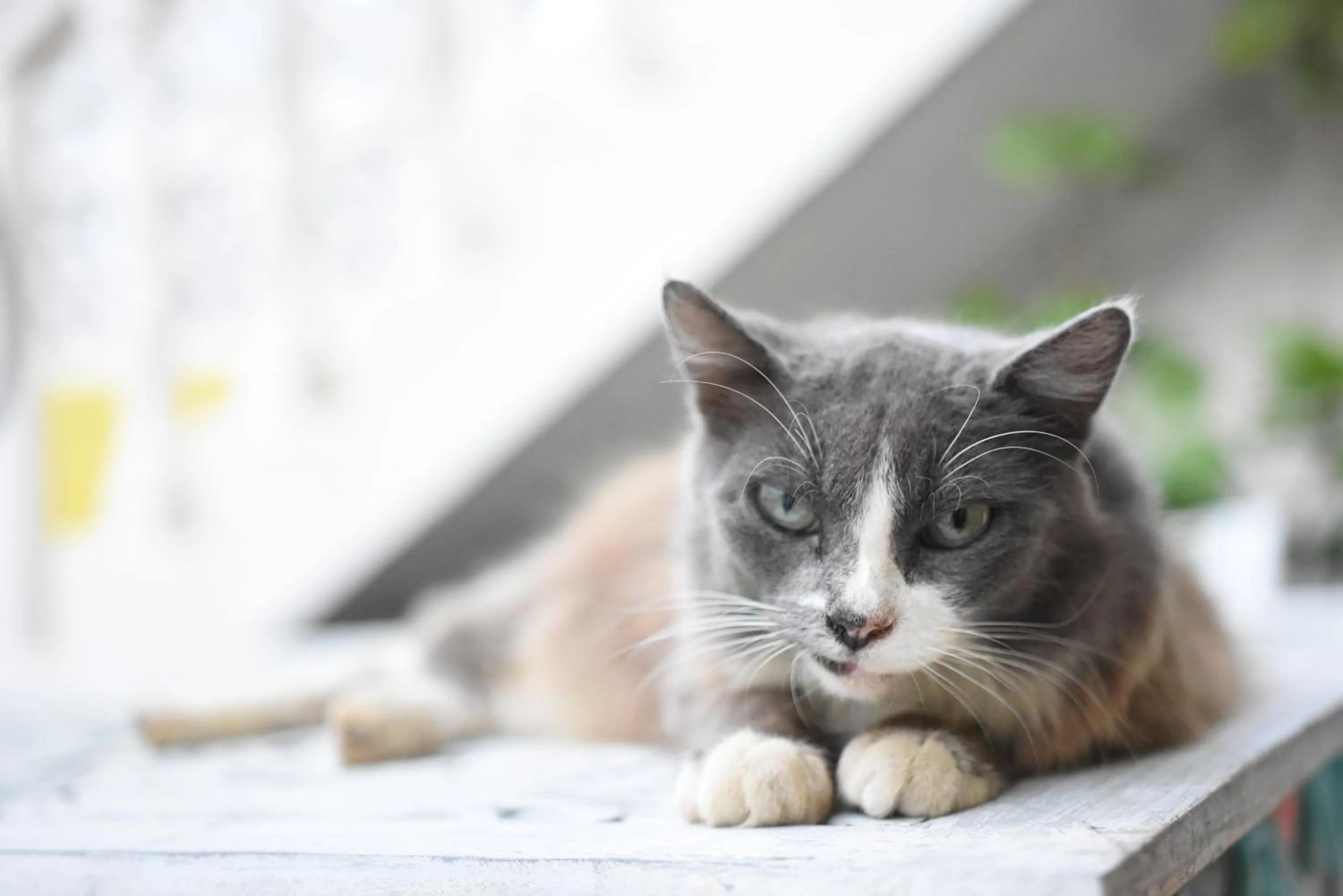 Other in Cancun Guest House 6