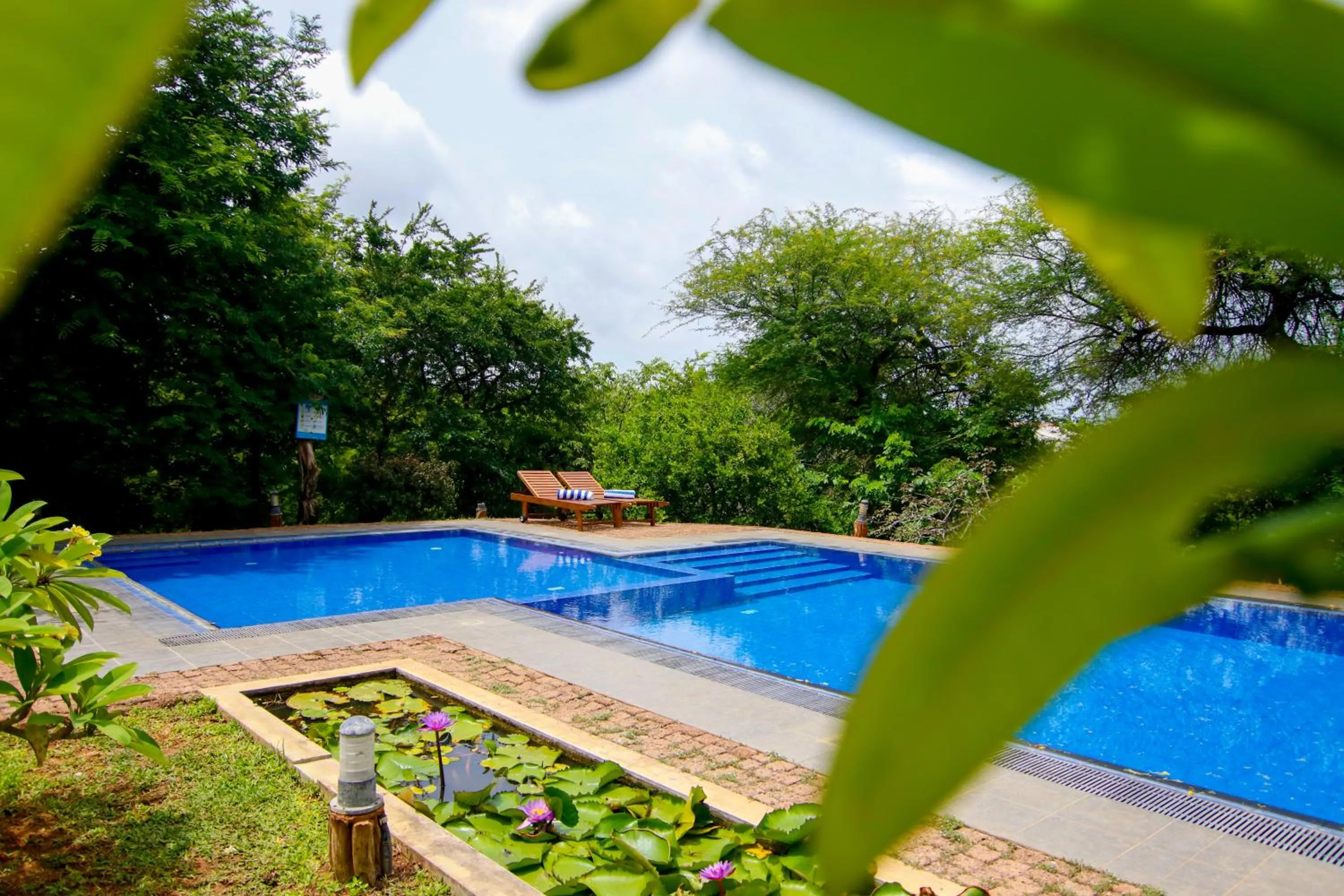 Pool view in Cloud Nine Lanka Resort Wilpattu