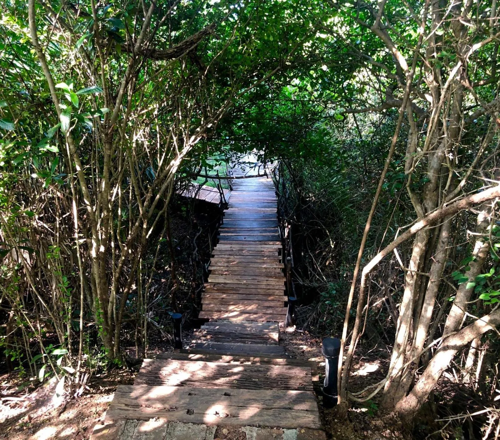 Garden in Cloud Nine Lanka Resort Wilpattu