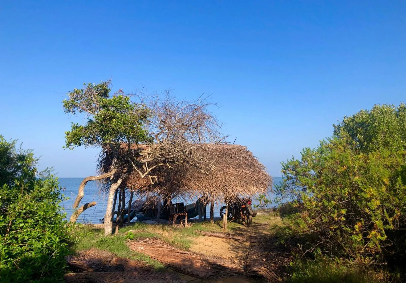 Garden in Cloud Nine Lanka Resort Wilpattu