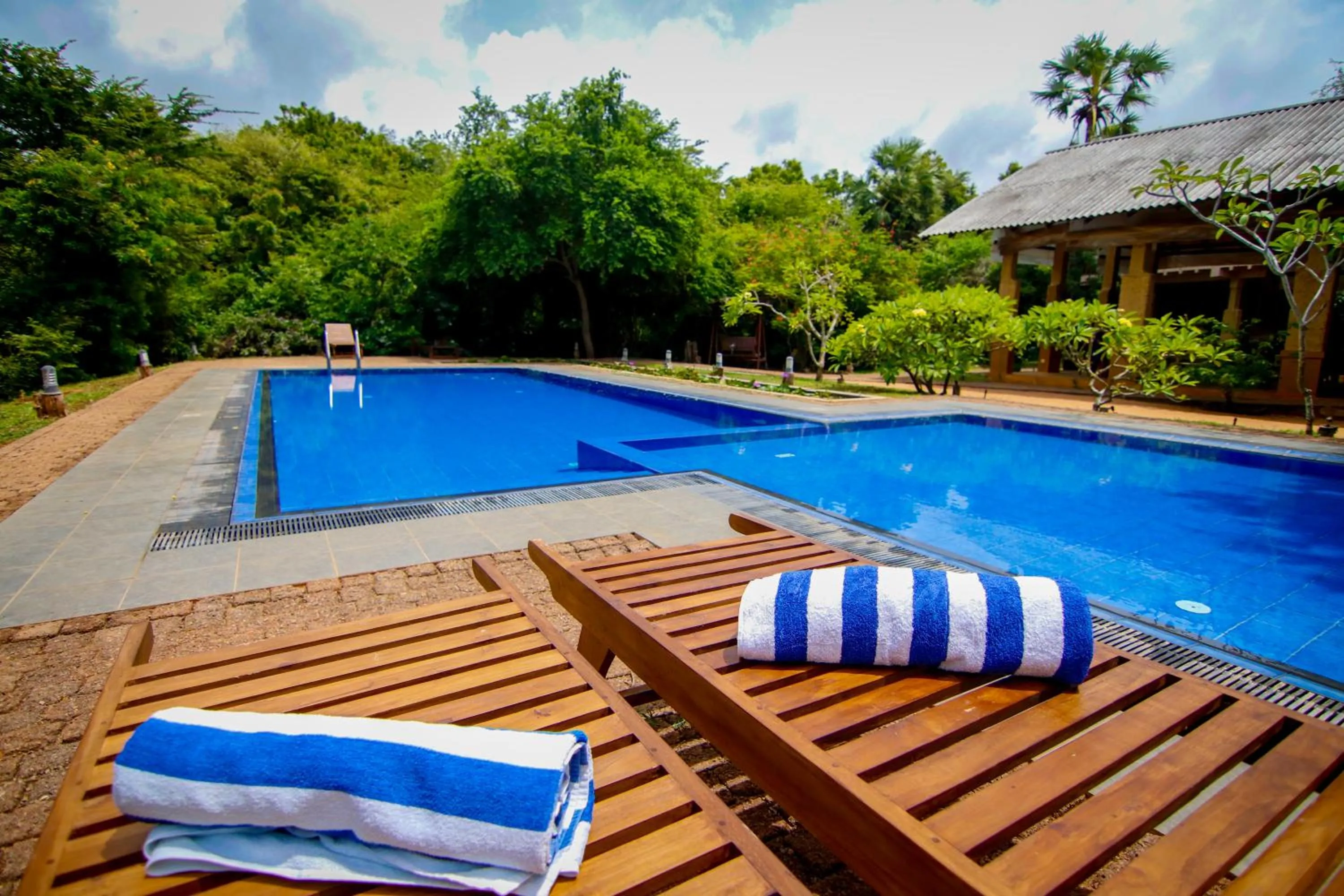 Pool view in Cloud Nine Lanka Resort Wilpattu