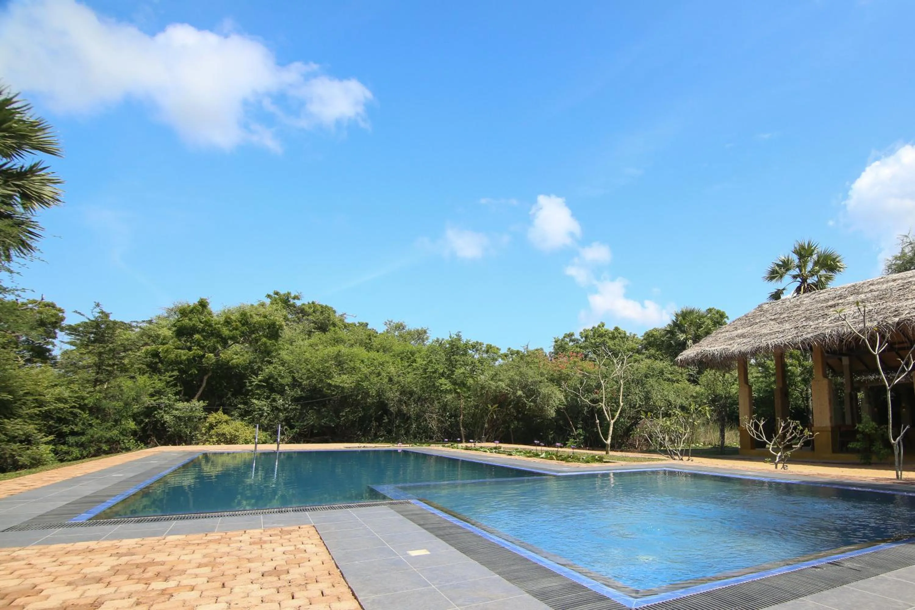 Pool view in Cloud Nine Lanka Resort Wilpattu