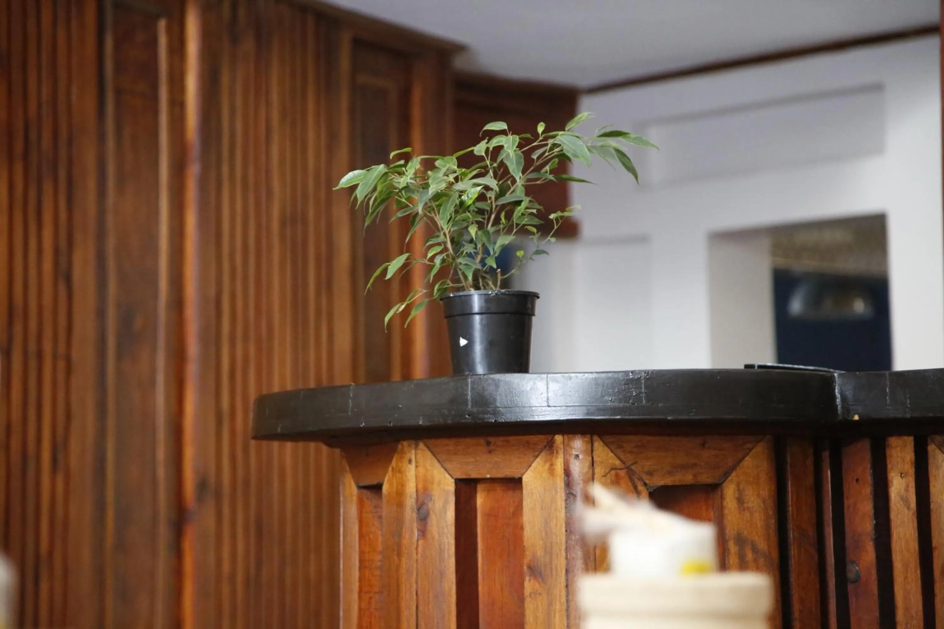 Lobby or reception in Travetel OR Tambo Airport