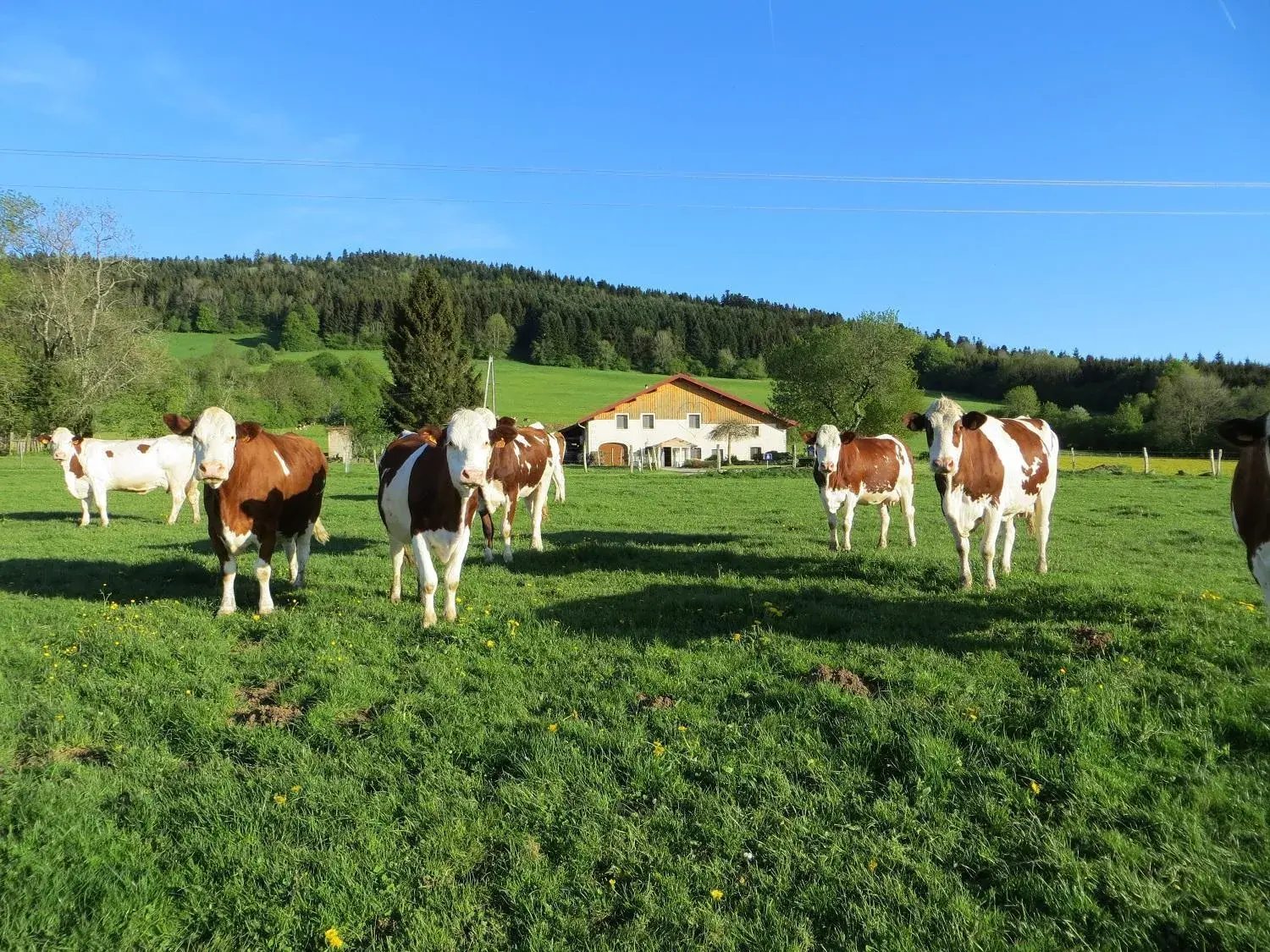 La ferme du bonheur La ferme du bonheur
