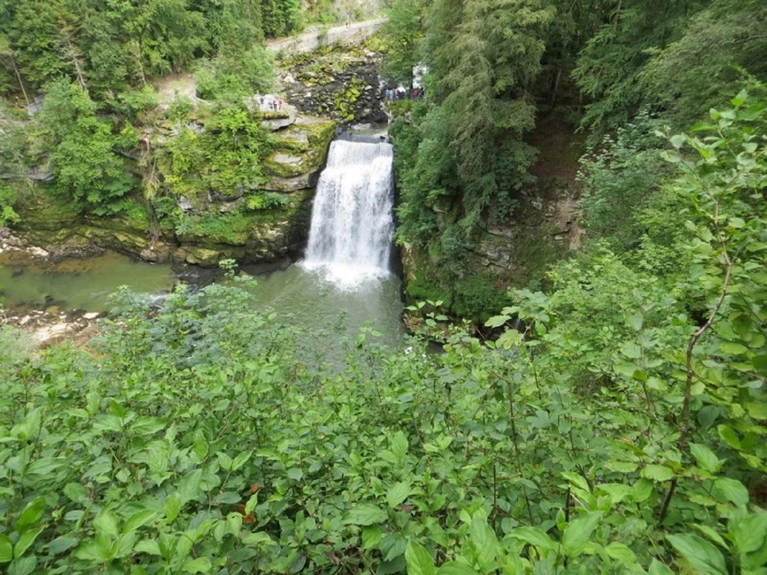 Natural landscape in La ferme du bonheur