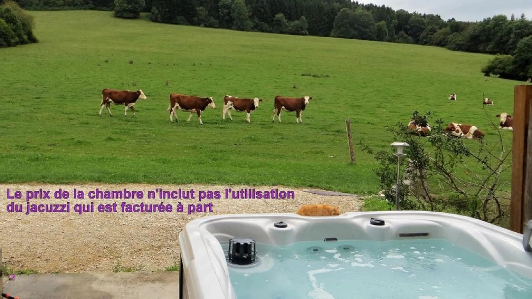 Other in La ferme du bonheur