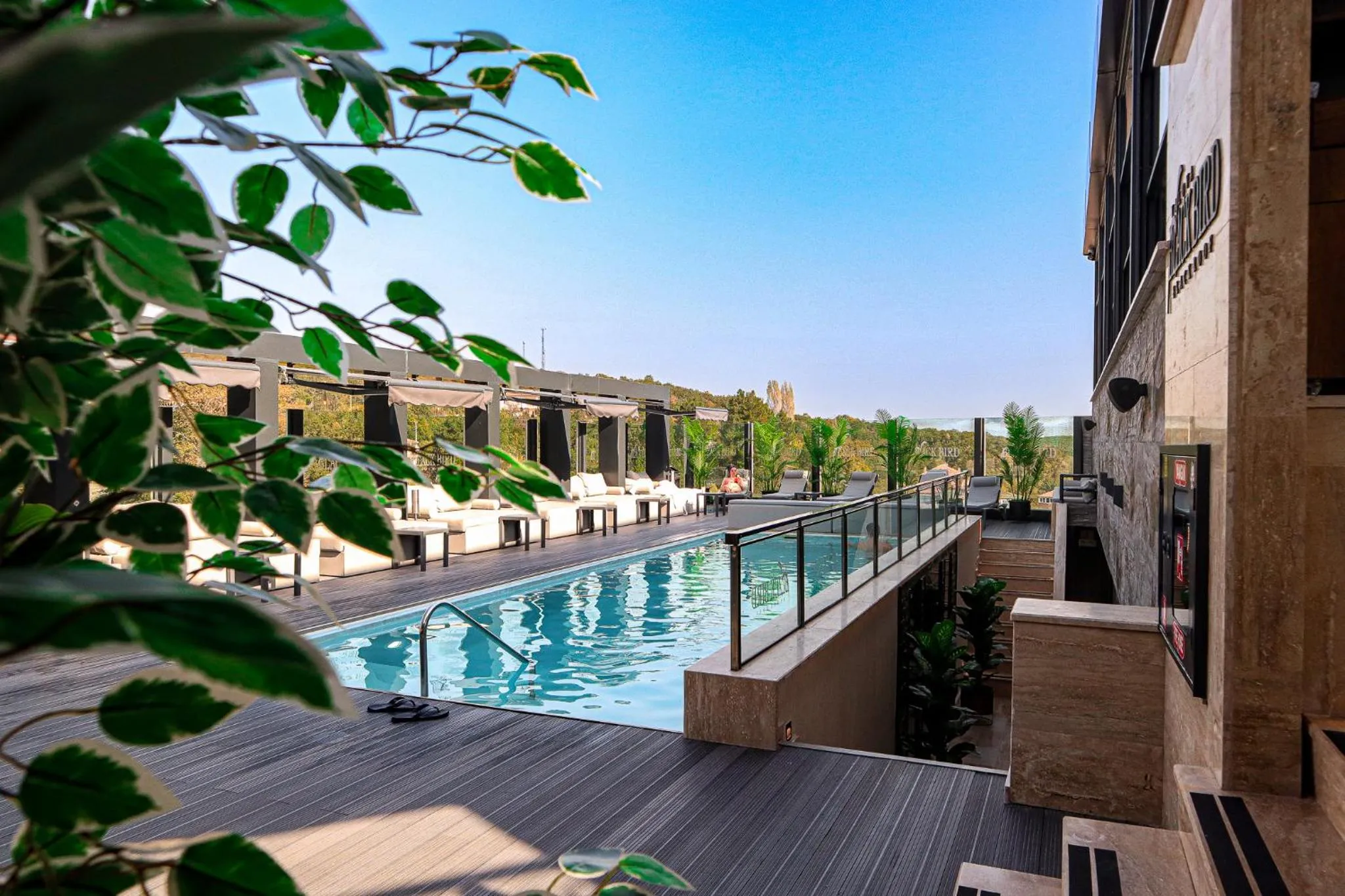 Day in Black Bird Thermal Hotel & SPA