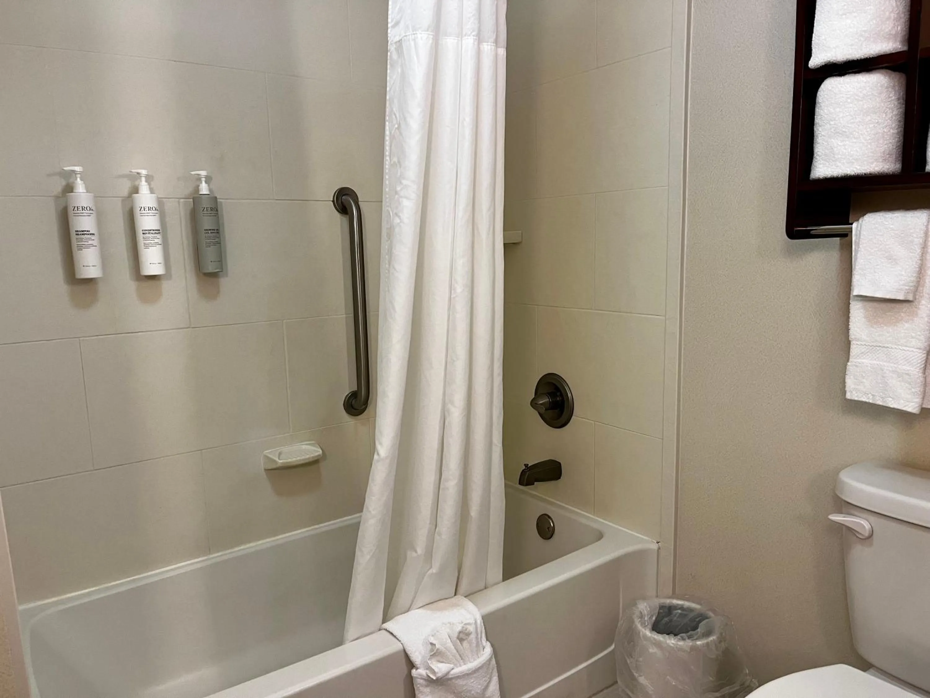 Shower in Hampton Inn Columbus/South-Fort Benning
