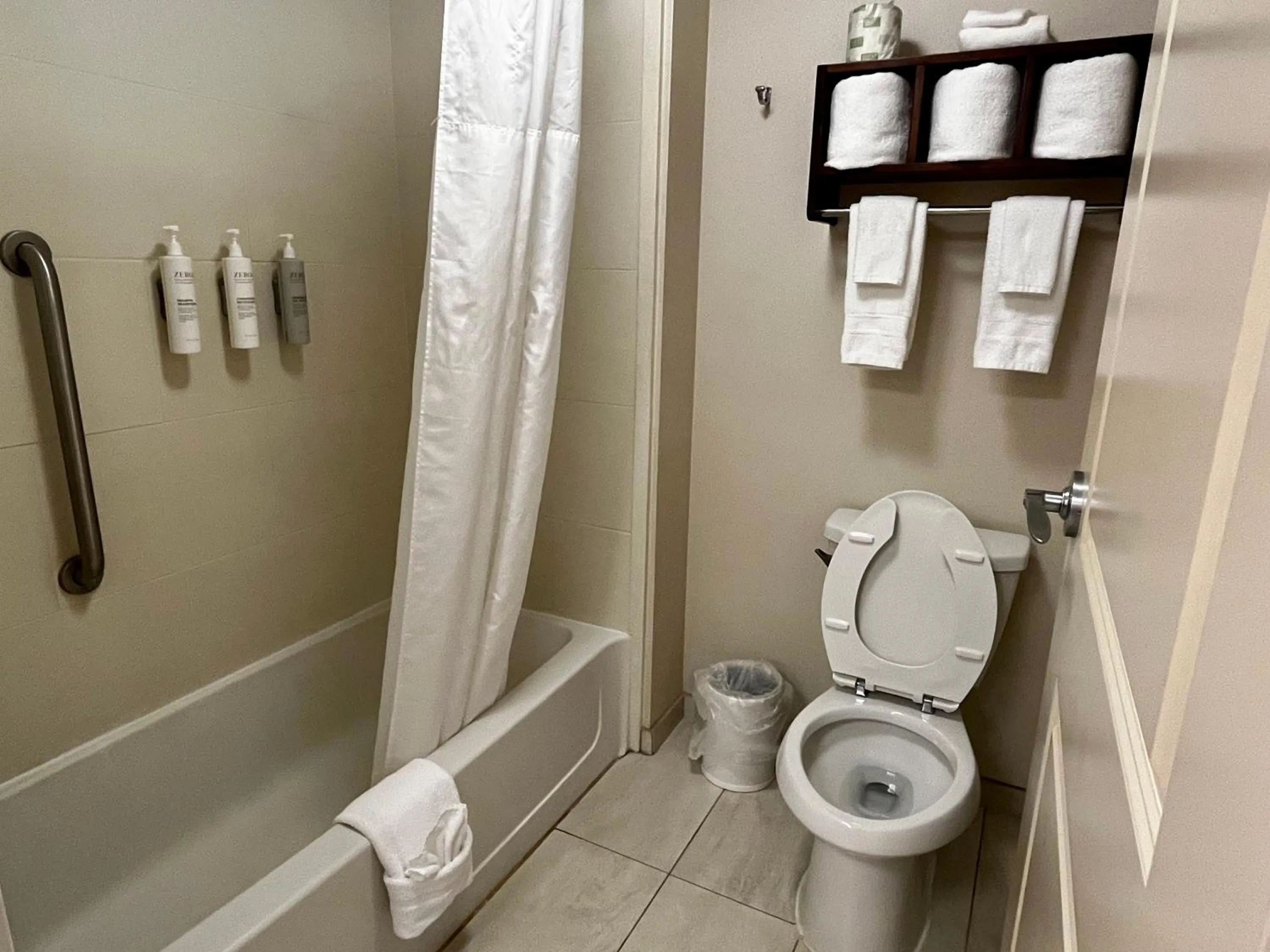 Shower in Hampton Inn Columbus/South-Fort Benning