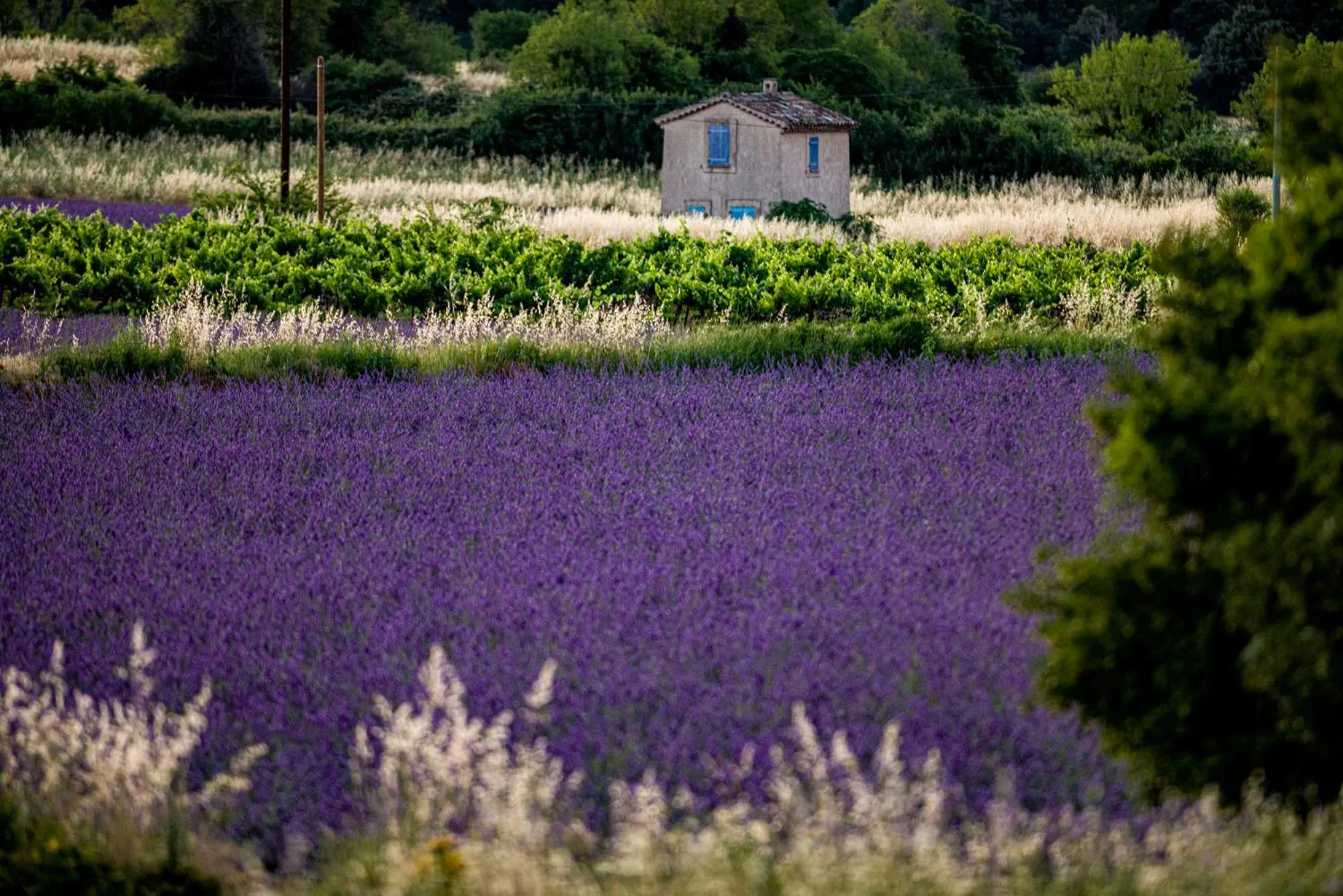 Spring in Auberge de la Fontaine