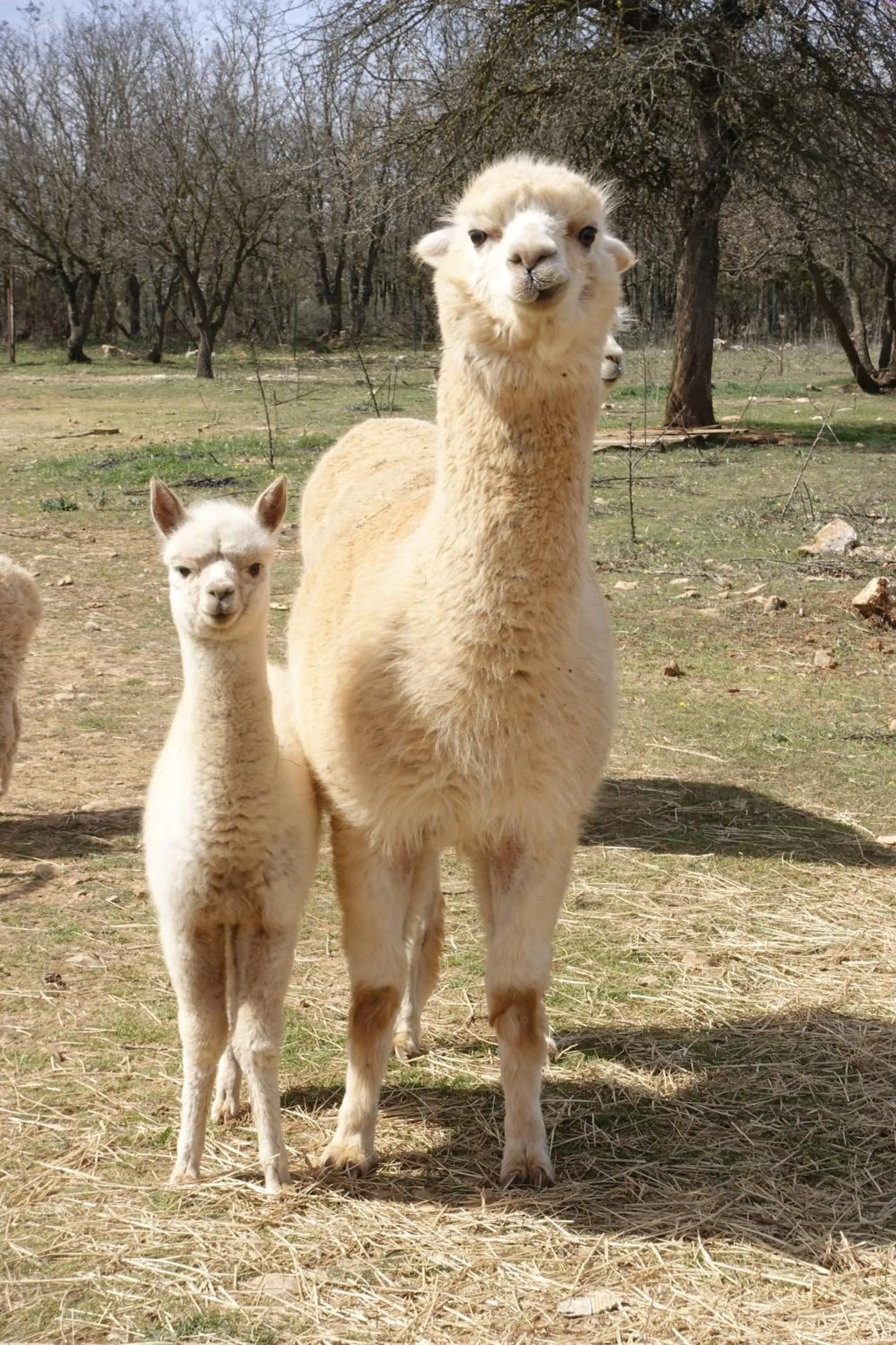 Day in Auberge de la Fontaine