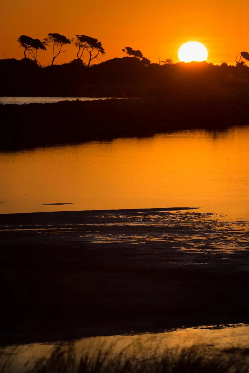 Natural landscape in Auberge de la Fontaine