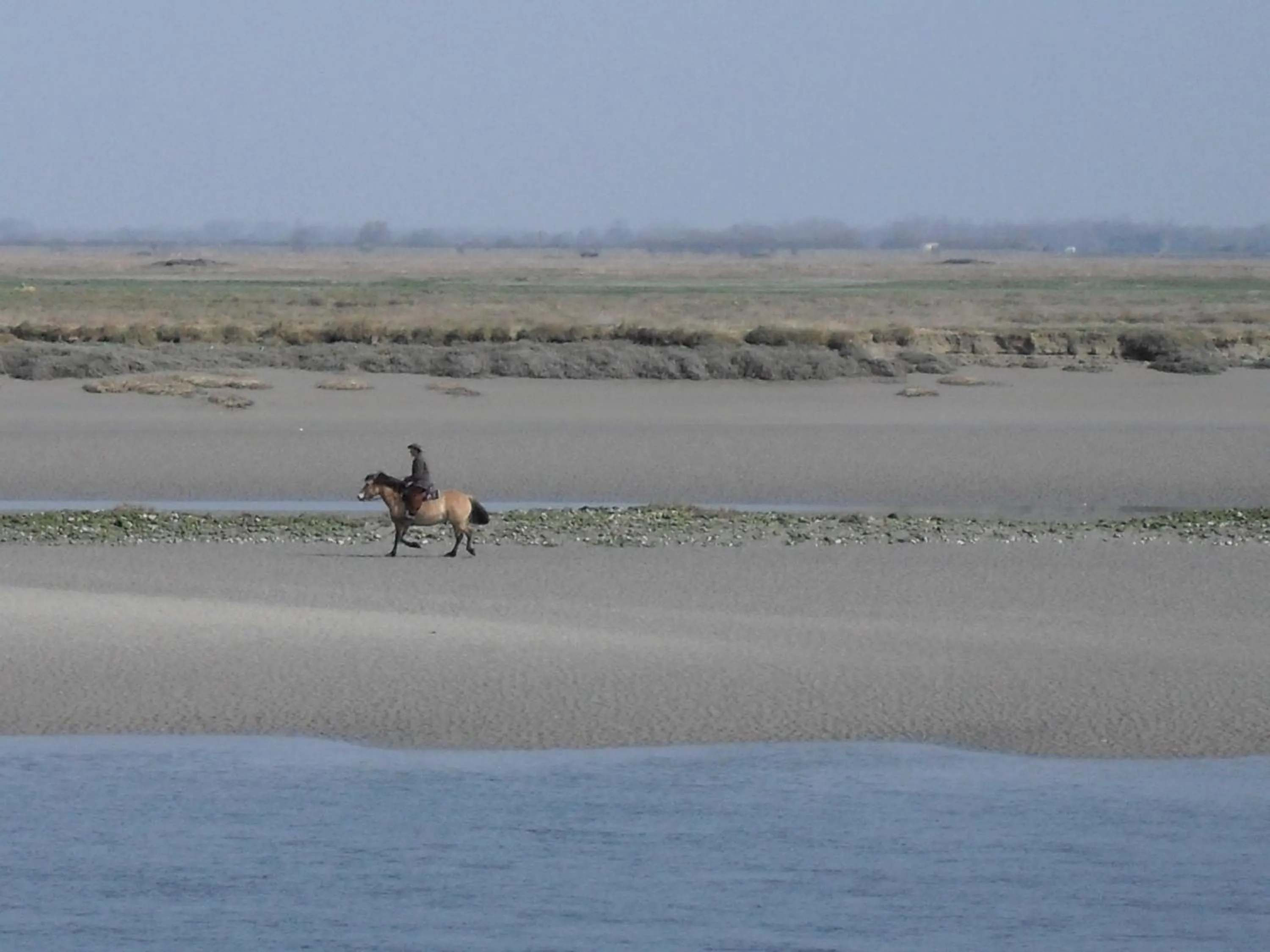 Natural landscape in Madame Vacances Les Terrasses De La Plage