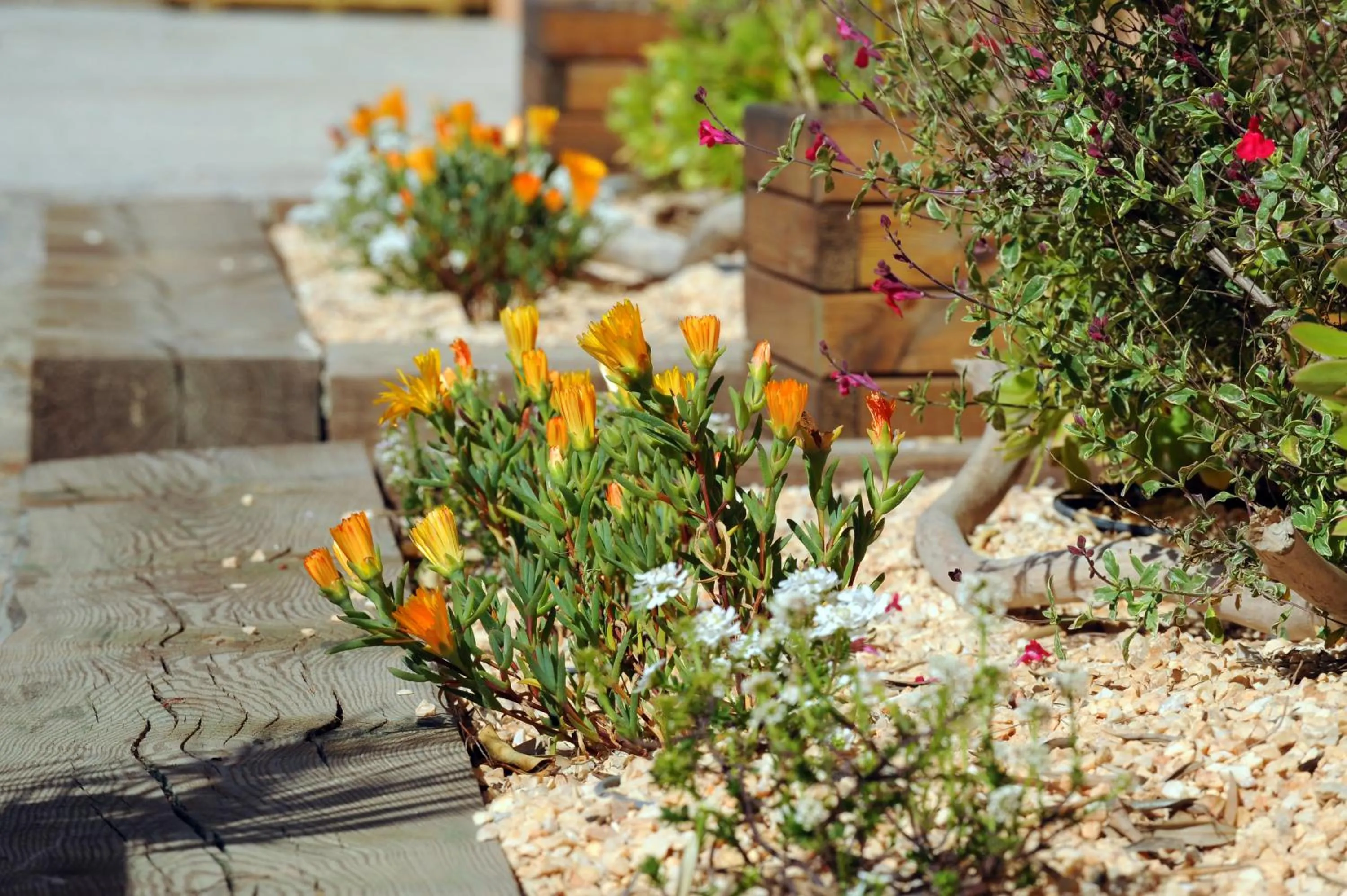Patio in Hôtel Les Mimosas
